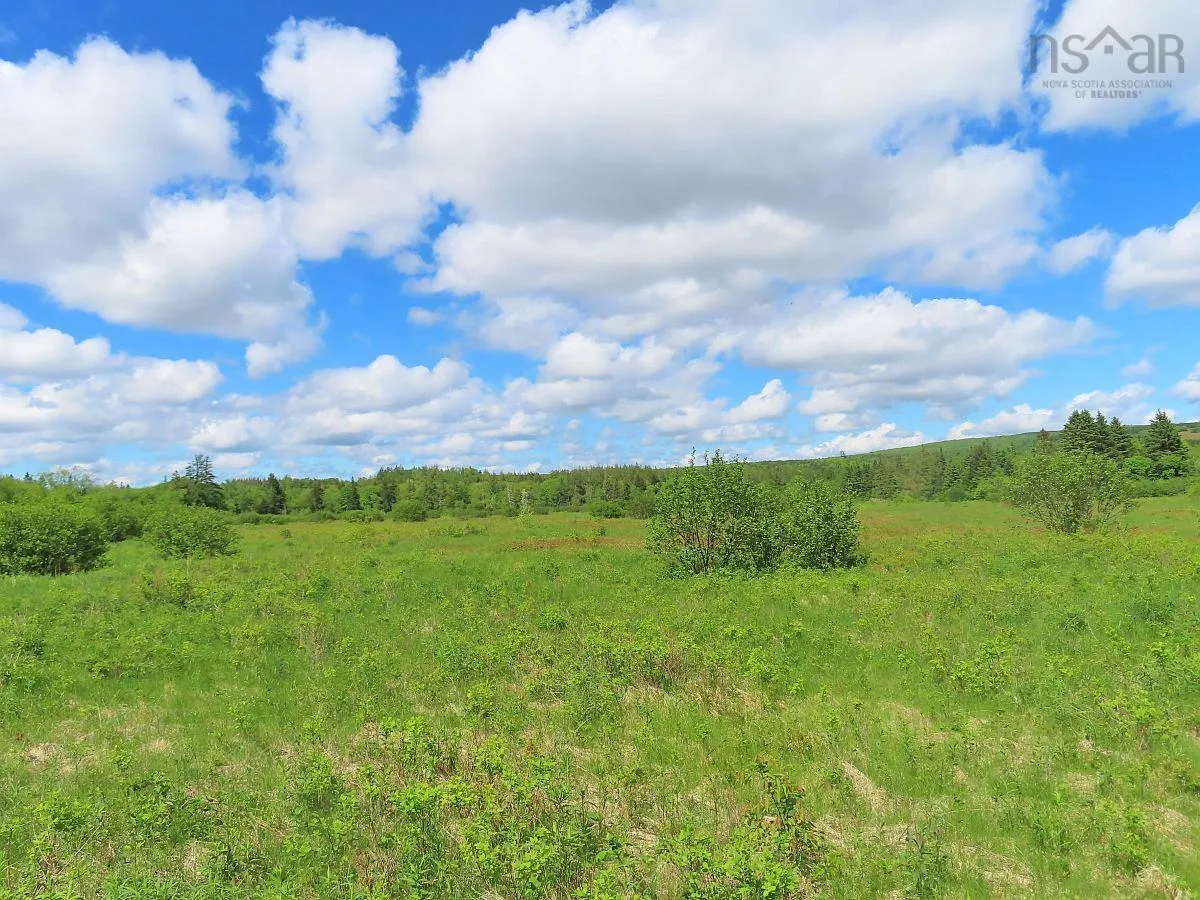 62 Acres West Side Road, West Side Country Harbour Ns B0h 1j0, ,Land,For Sale,West Side,202407283