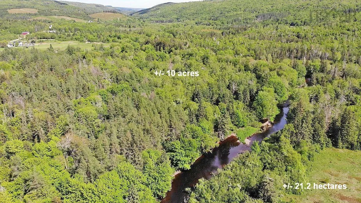 62 Acres West Side Road, West Side Country Harbour Ns B0h 1j0, ,Land,For Sale,West Side,202407283