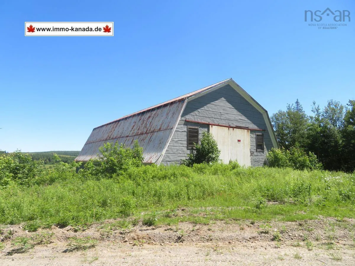 62 Acres West Side Road, West Side Country Harbour Ns B0h 1j0, ,Land,For Sale,West Side,202407283