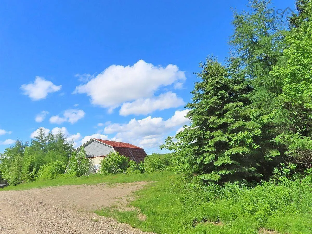 62 Acres West Side Road, West Side Country Harbour Ns B0h 1j0, ,Land,For Sale,West Side,202407283