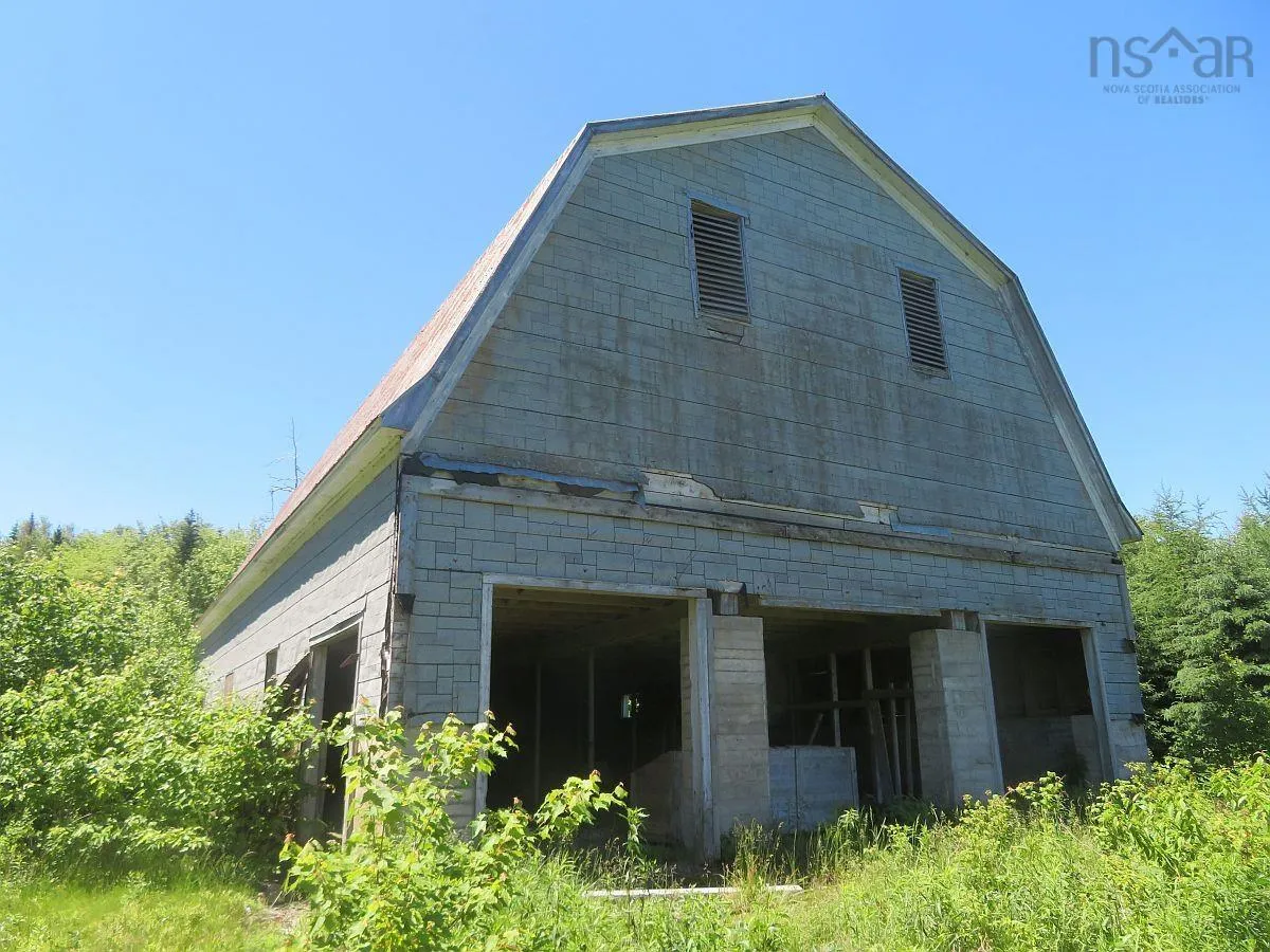 62 Acres West Side Road, West Side Country Harbour Ns B0h 1j0, ,Land,For Sale,West Side,202407283