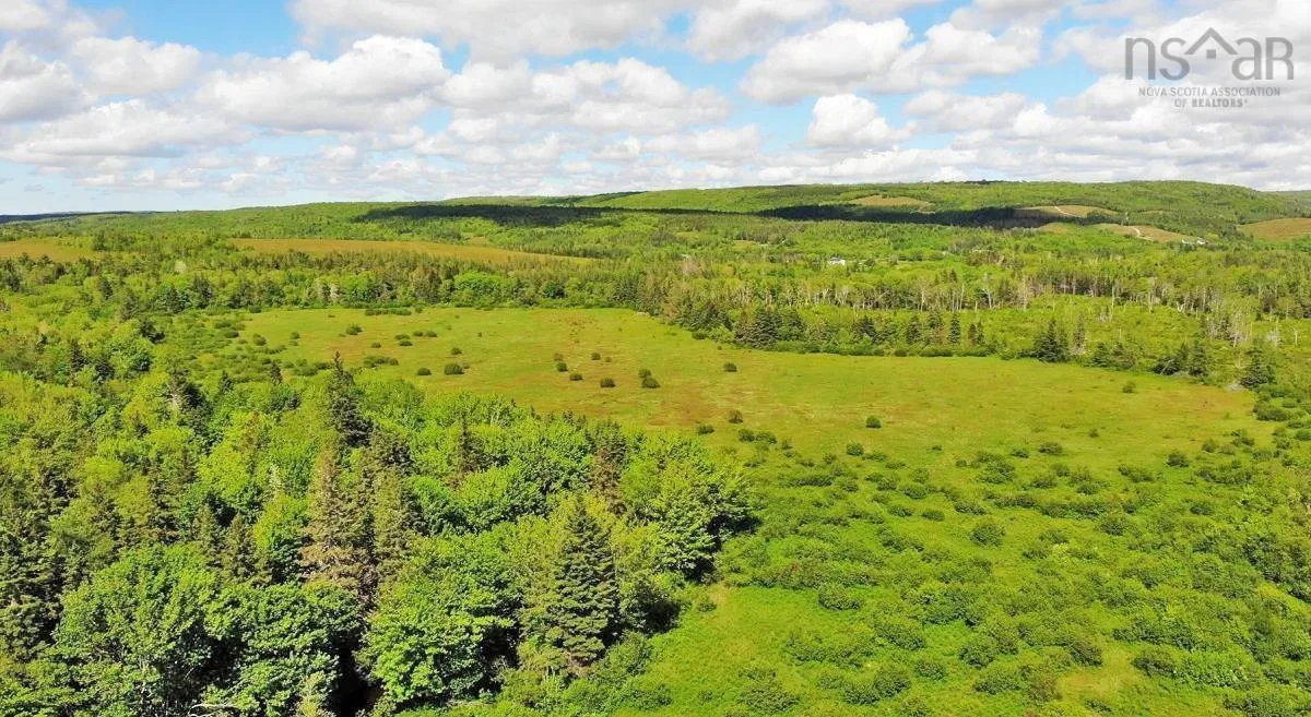 62 Acres West Side Road, West Side Country Harbour Ns B0h 1j0, ,Land,For Sale,West Side,202407283