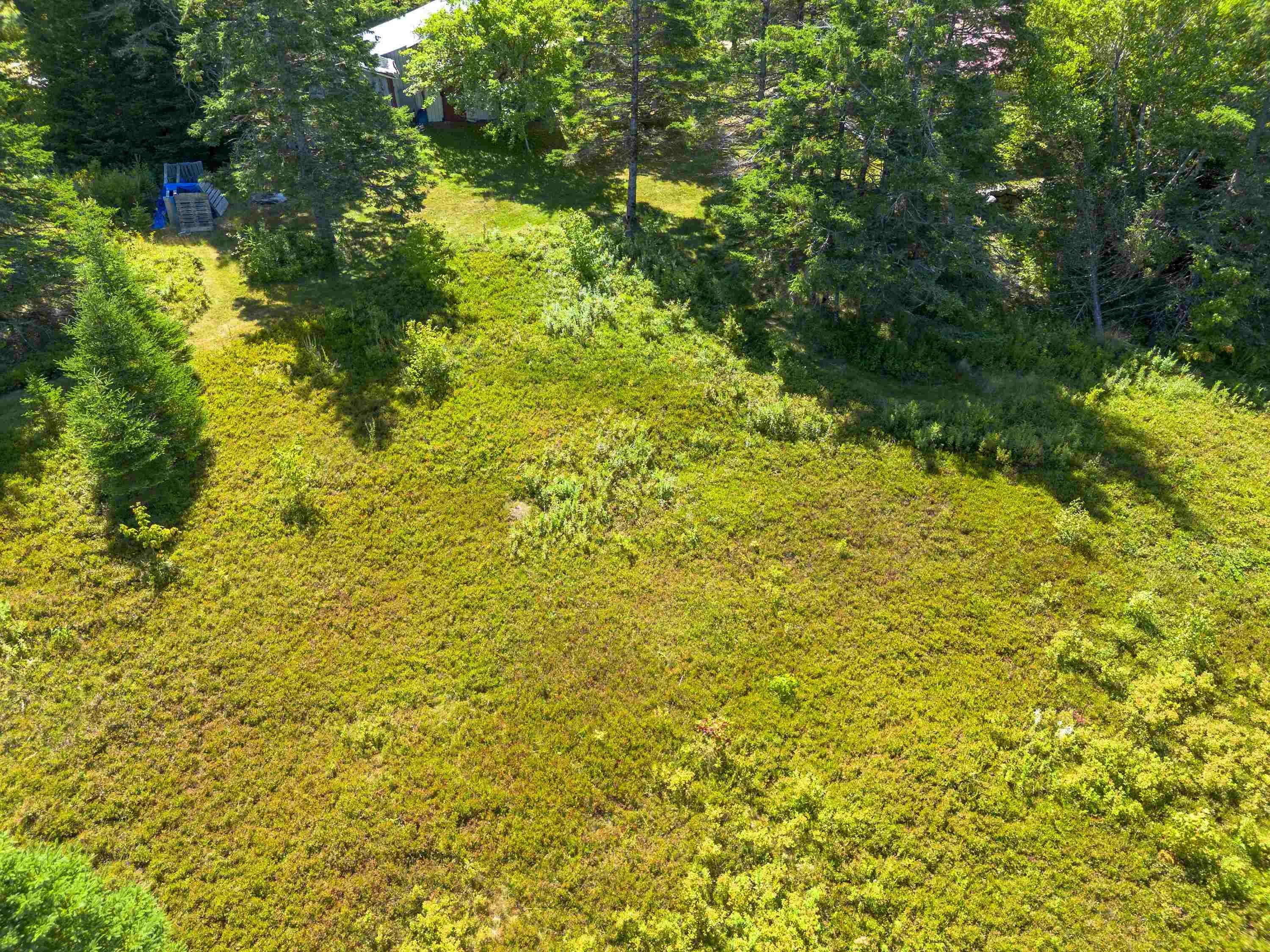 55 Swinimer Road, Dean, NS B0J 1B0, 2 Bedrooms Bedrooms, ,1 BathroomBathrooms,Residential,For Sale,Swinimer,202521105