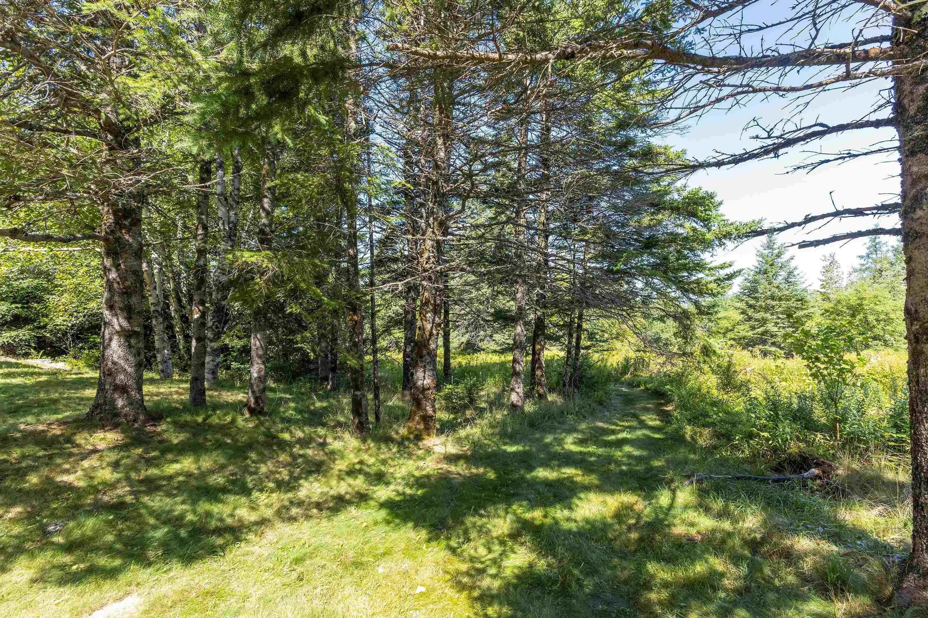 55 Swinimer Road, Dean, NS B0J 1B0, 2 Bedrooms Bedrooms, ,1 BathroomBathrooms,Residential,For Sale,Swinimer,202521105