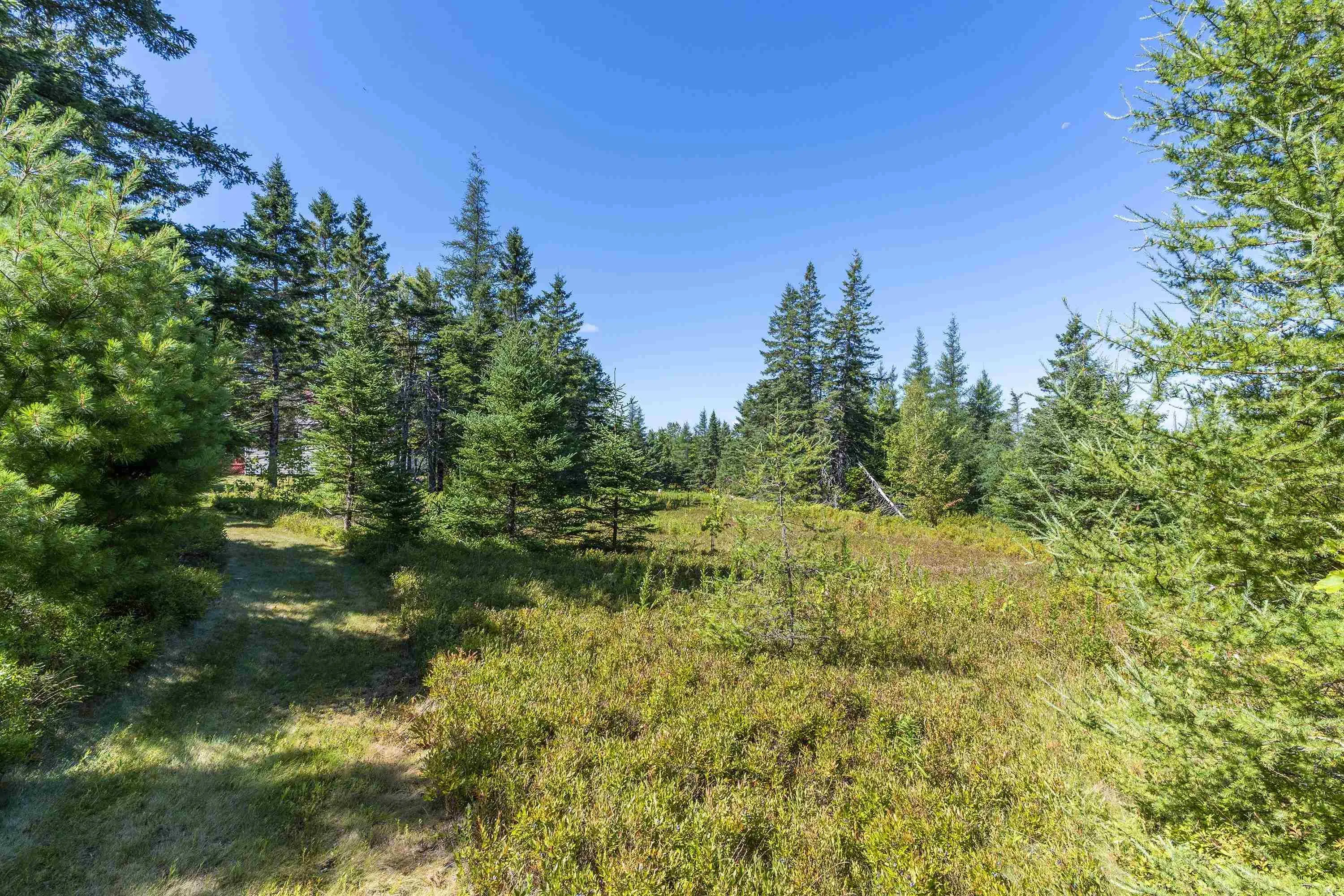 55 Swinimer Road, Dean, NS B0J 1B0, 2 Bedrooms Bedrooms, ,1 BathroomBathrooms,Residential,For Sale,Swinimer,202521105