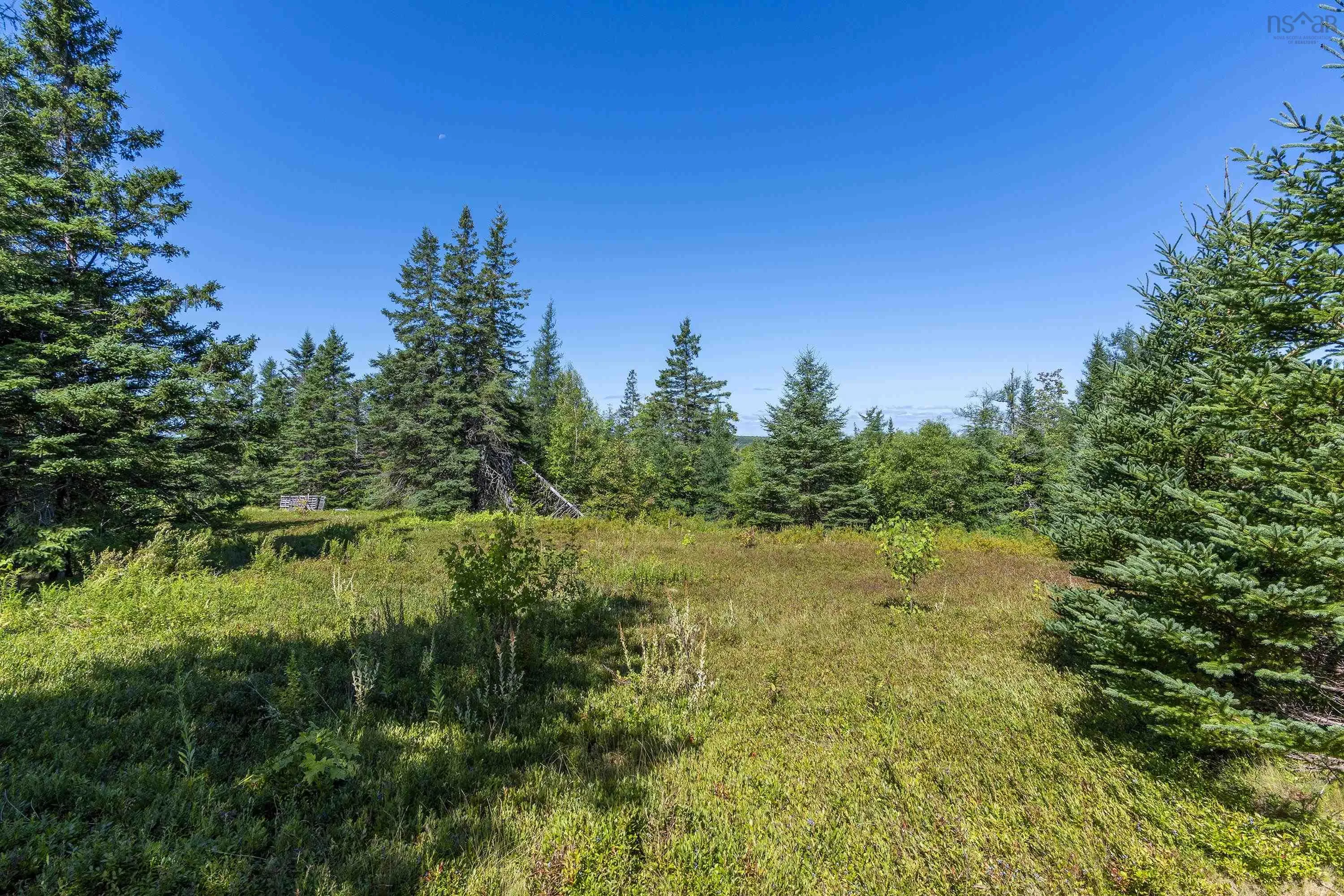 55 Swinimer Road, Dean, NS B0J 1B0, 2 Bedrooms Bedrooms, ,1 BathroomBathrooms,Residential,For Sale,Swinimer,202521105