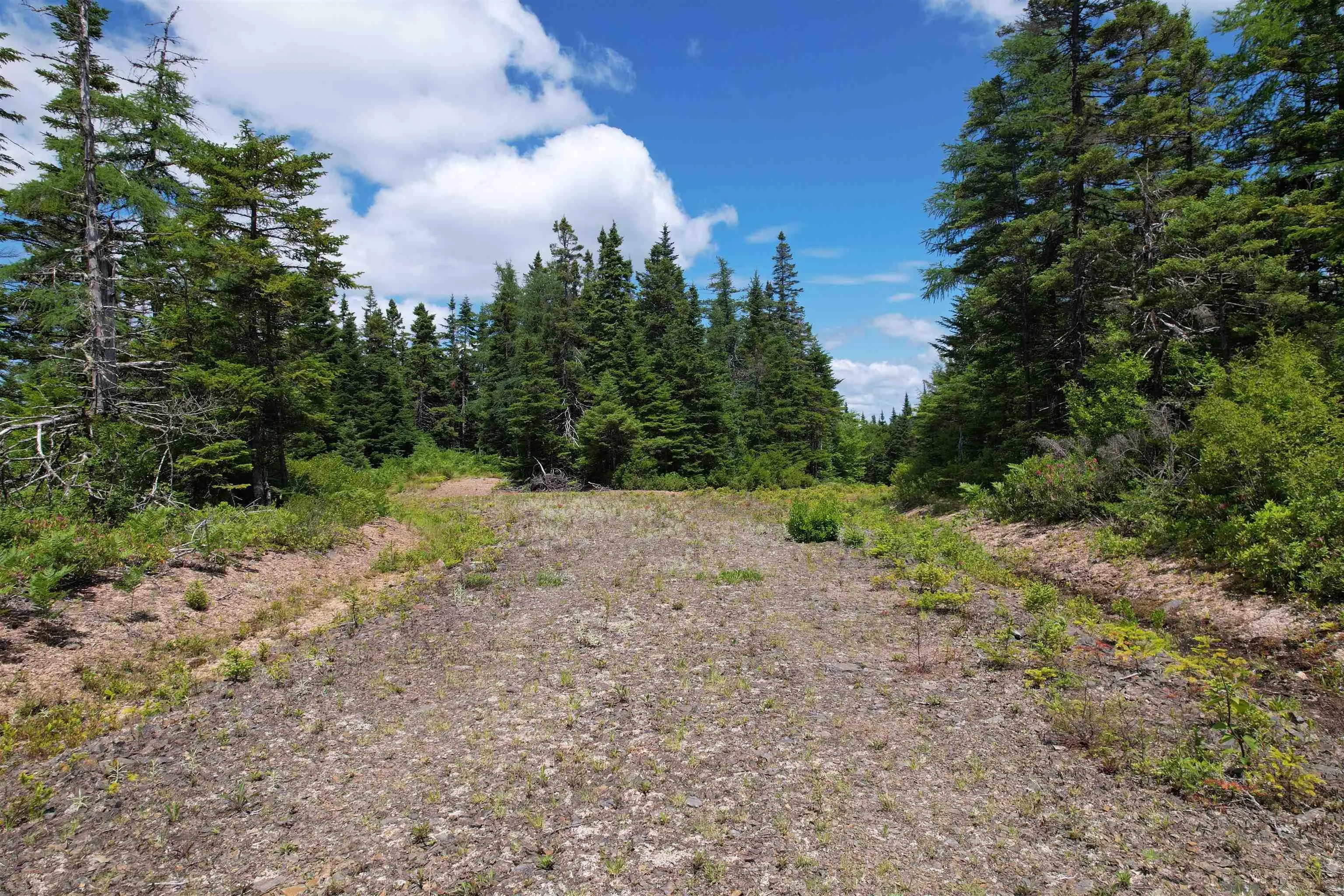 Lot 2 Westside Loch Lomond Road, Loch Lomond, NS B2E 1B7, ,Land,For Sale,Westside Loch Lomond,202518828