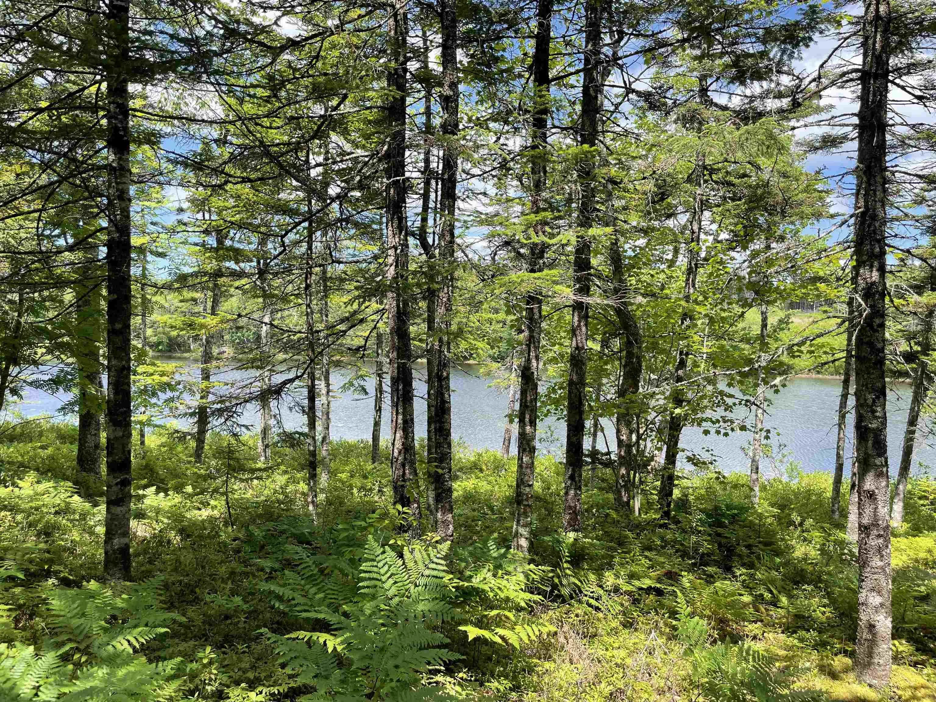 Lot 2 Westside Loch Lomond Road, Loch Lomond, NS B2E 1B7, ,Land,For Sale,Westside Loch Lomond,202518828