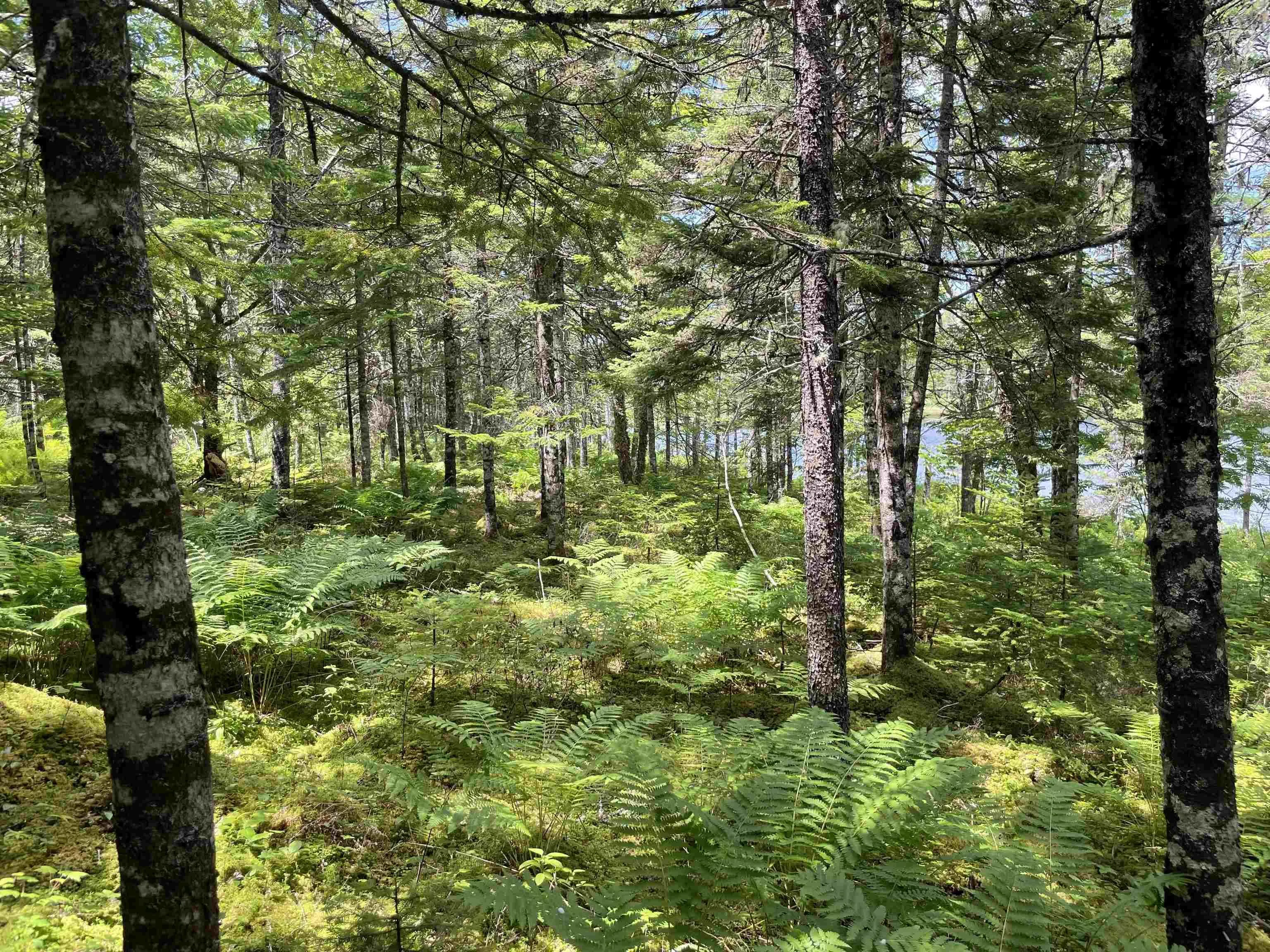 Lot 2 Westside Loch Lomond Road, Loch Lomond, NS B2E 1B7, ,Land,For Sale,Westside Loch Lomond,202518828