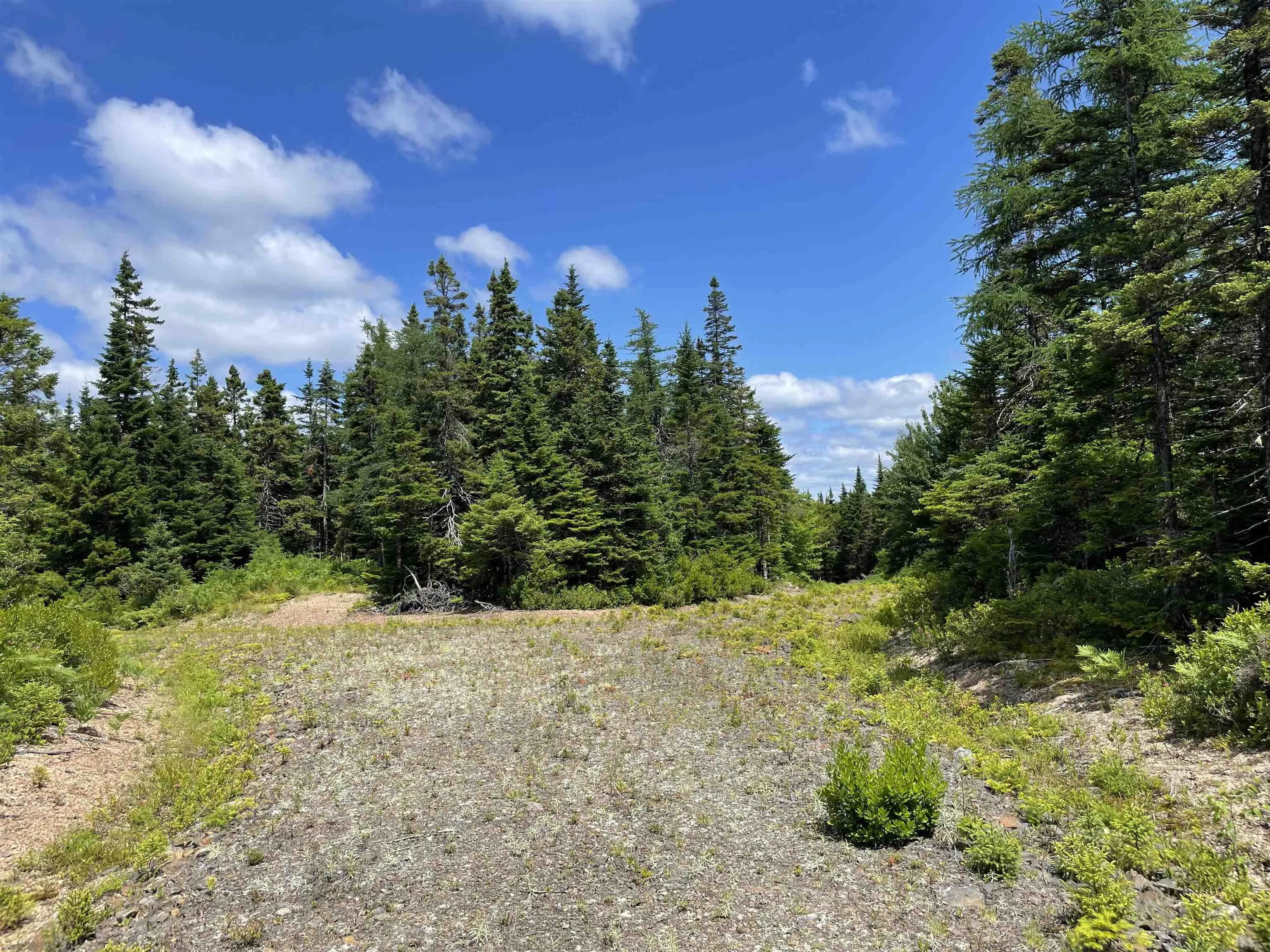 Lot 2 Westside Loch Lomond Road, Loch Lomond, NS B2E 1B7, ,Land,For Sale,Westside Loch Lomond,202518828