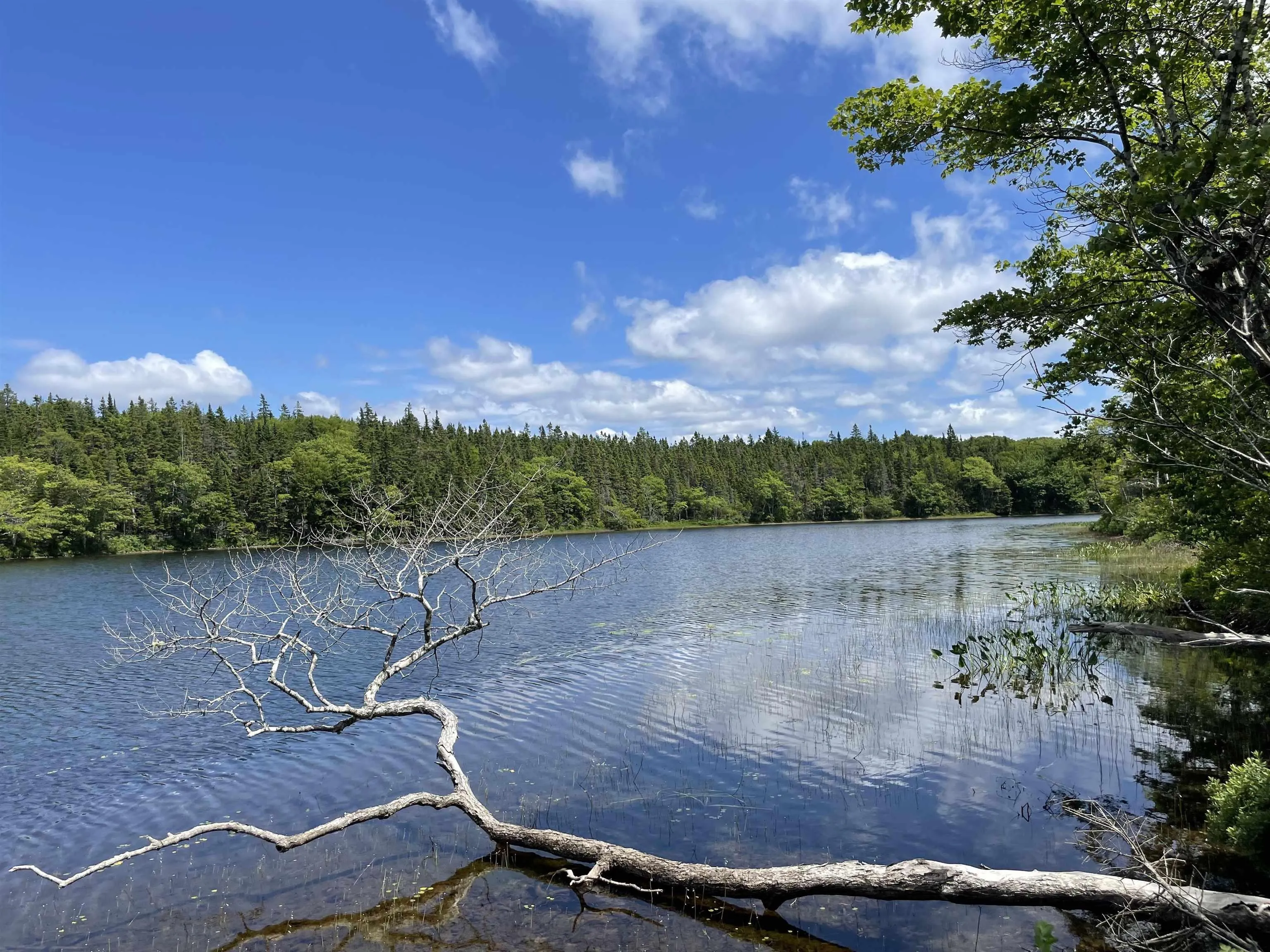 Lot 2 Westside Loch Lomond Road, Loch Lomond, NS B2E 1B7, ,Land,For Sale,Westside Loch Lomond,202518828
