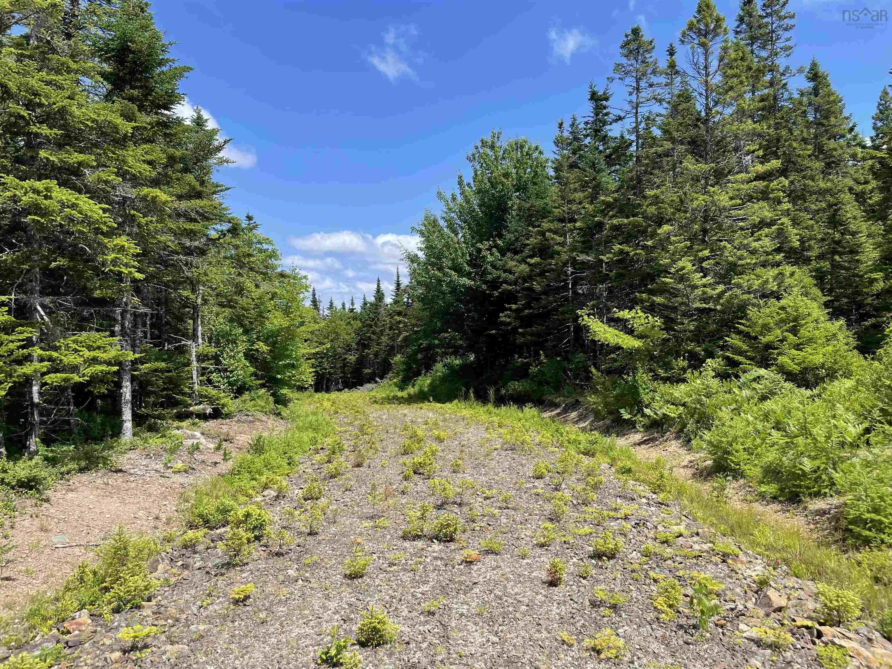 Lot 2 Westside Loch Lomond Road, Loch Lomond, NS B2E 1B7, ,Land,For Sale,Westside Loch Lomond,202518828