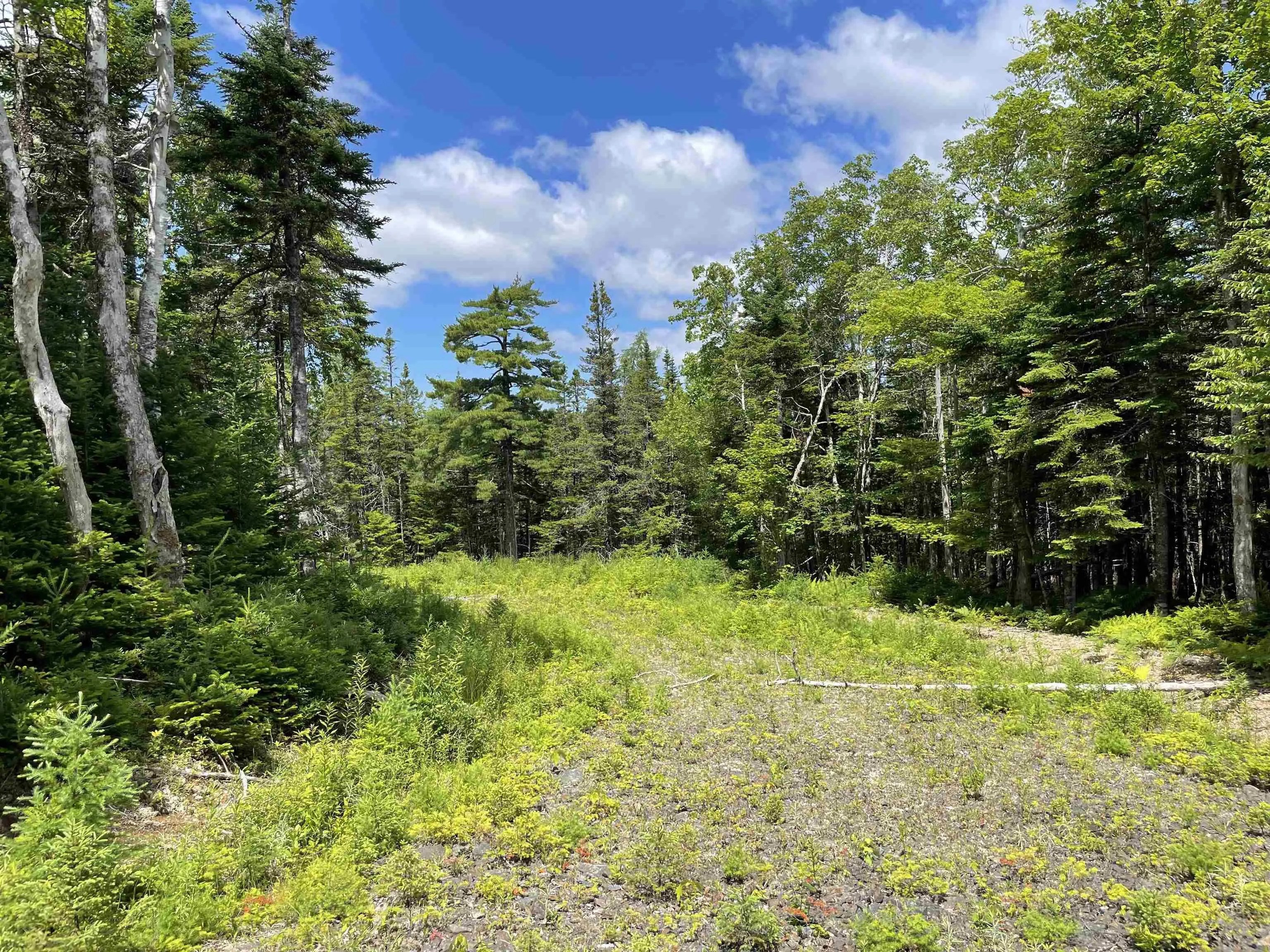 Lot 2 Westside Loch Lomond Road, Loch Lomond, NS B2E 1B7, ,Land,For Sale,Westside Loch Lomond,202518828