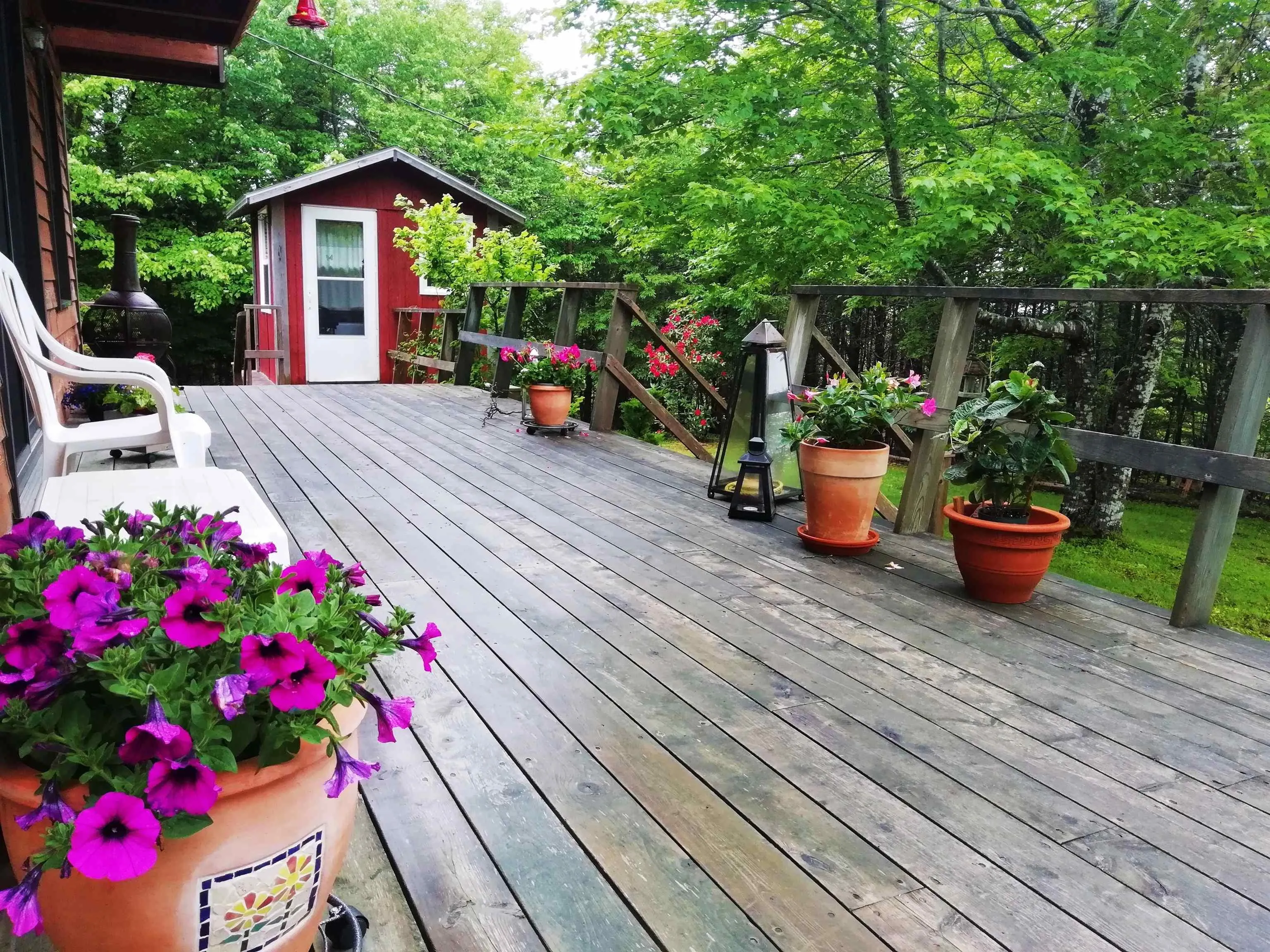 97 Macintosh Road, Port Shoreham Ns B0h 1g0, 3 Bedrooms Bedrooms, ,2 BathroomsBathrooms,Residential,For Sale,Macintosh,202422375