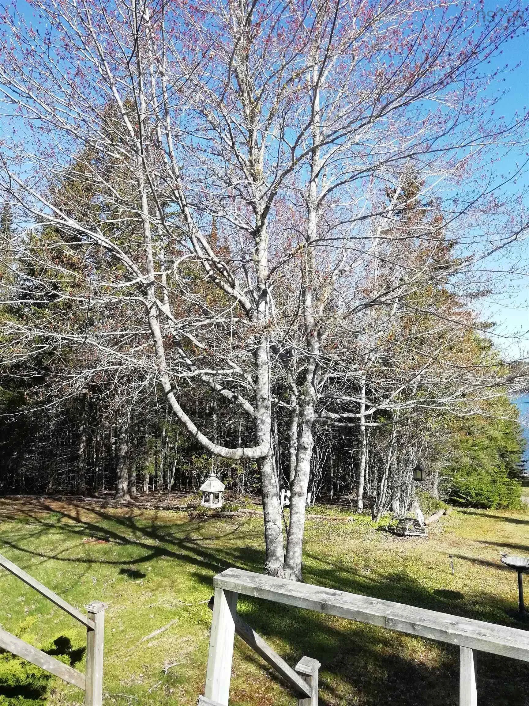 97 Macintosh Road, Port Shoreham Ns B0h 1g0, 3 Bedrooms Bedrooms, ,2 BathroomsBathrooms,Residential,For Sale,Macintosh,202422375