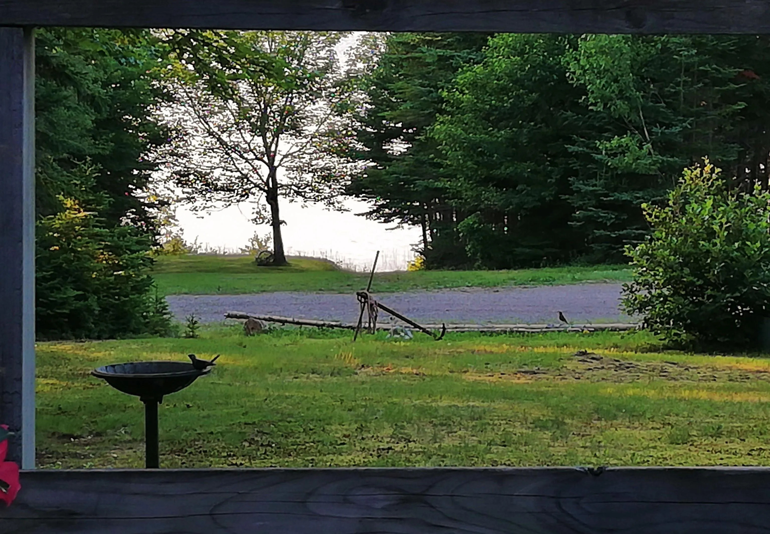 97 Macintosh Road, Port Shoreham Ns B0h 1g0, 3 Bedrooms Bedrooms, ,2 BathroomsBathrooms,Residential,For Sale,Macintosh,202422375