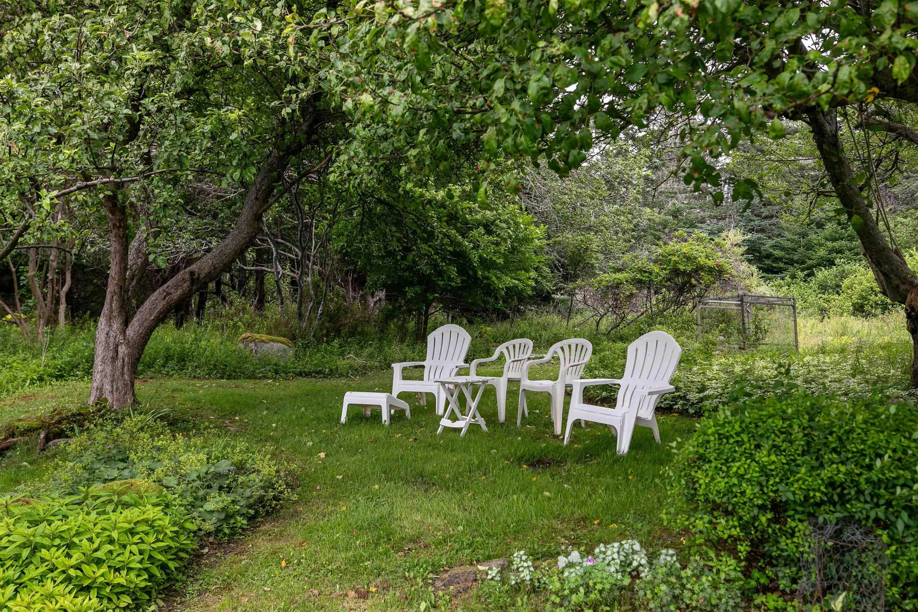 326 Upper Blandford Road, Deep Cove, NS B0J 1T0, 2 Bedrooms Bedrooms, ,1 BathroomBathrooms,Residential,For Sale,Upper Blandford,202515127