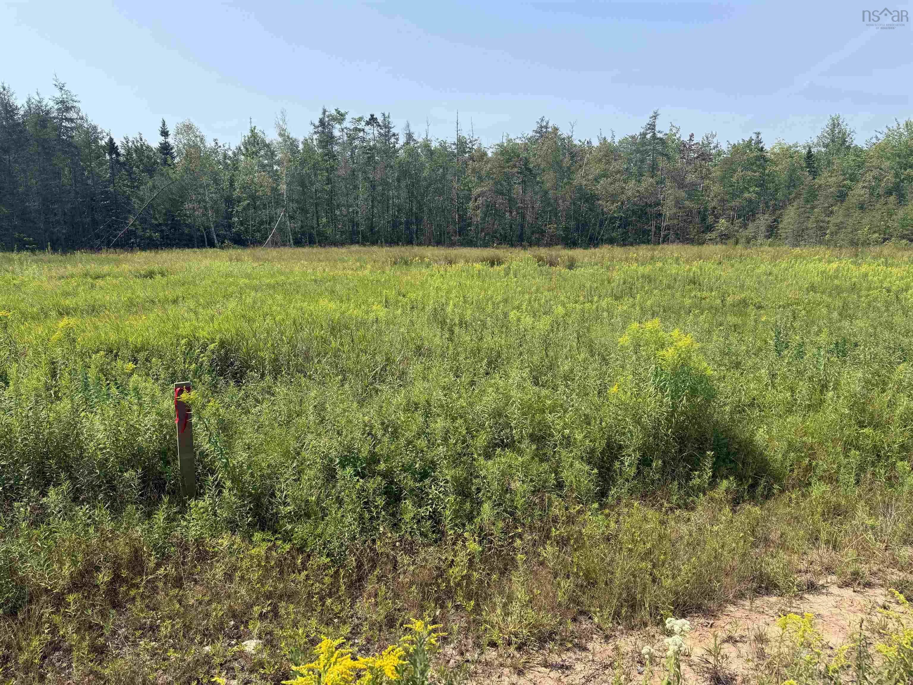 Jollimore Road Lot 22, Dutch Settlement, NS B2S 2H9, ,Land,For Sale,Jollimore,202518990