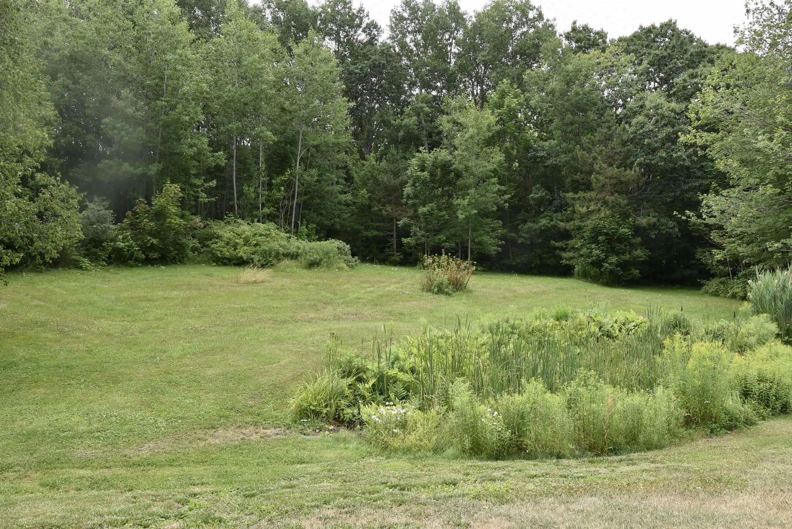 8012 Shore Road, Hampton, NS B0S 1L0, 2 Bedrooms Bedrooms, ,2 BathroomsBathrooms,Residential,For Sale,Shore,202518940