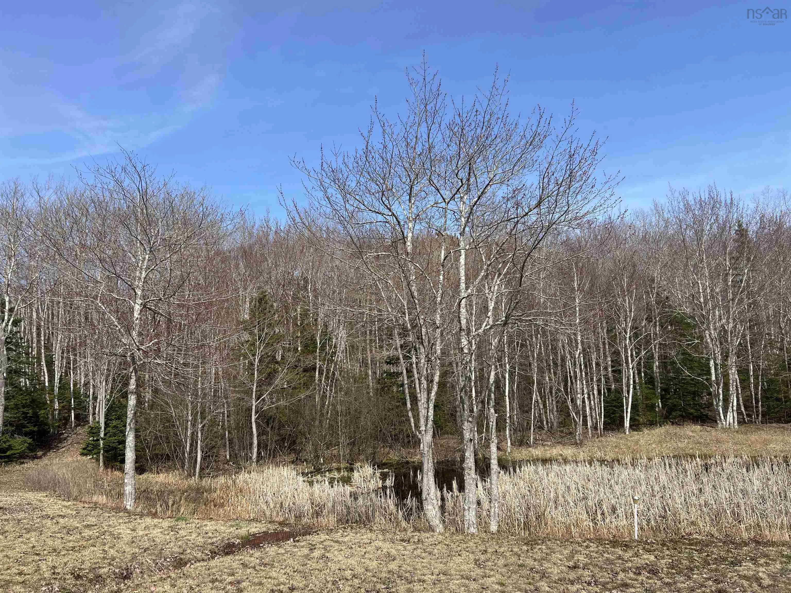 Old Mulgrave Road, Monastery Ns B0h 1w0, 3 Bedrooms Bedrooms, ,1 BathroomBathrooms,Residential,For Sale,Old Mulgrave,202510167