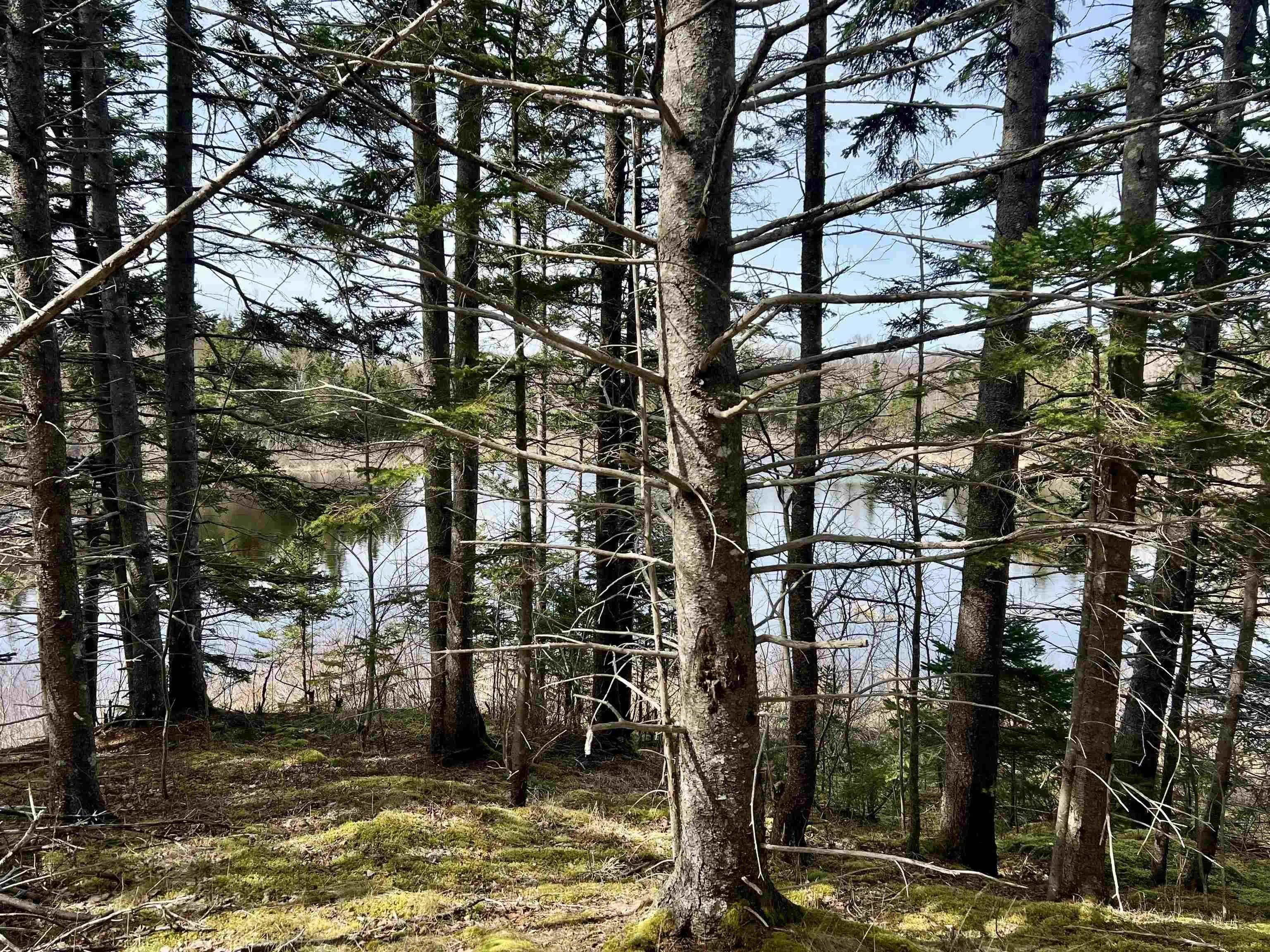 Old Mulgrave Road, Monastery Ns B0h 1w0, 3 Bedrooms Bedrooms, ,1 BathroomBathrooms,Residential,For Sale,Old Mulgrave,202510167