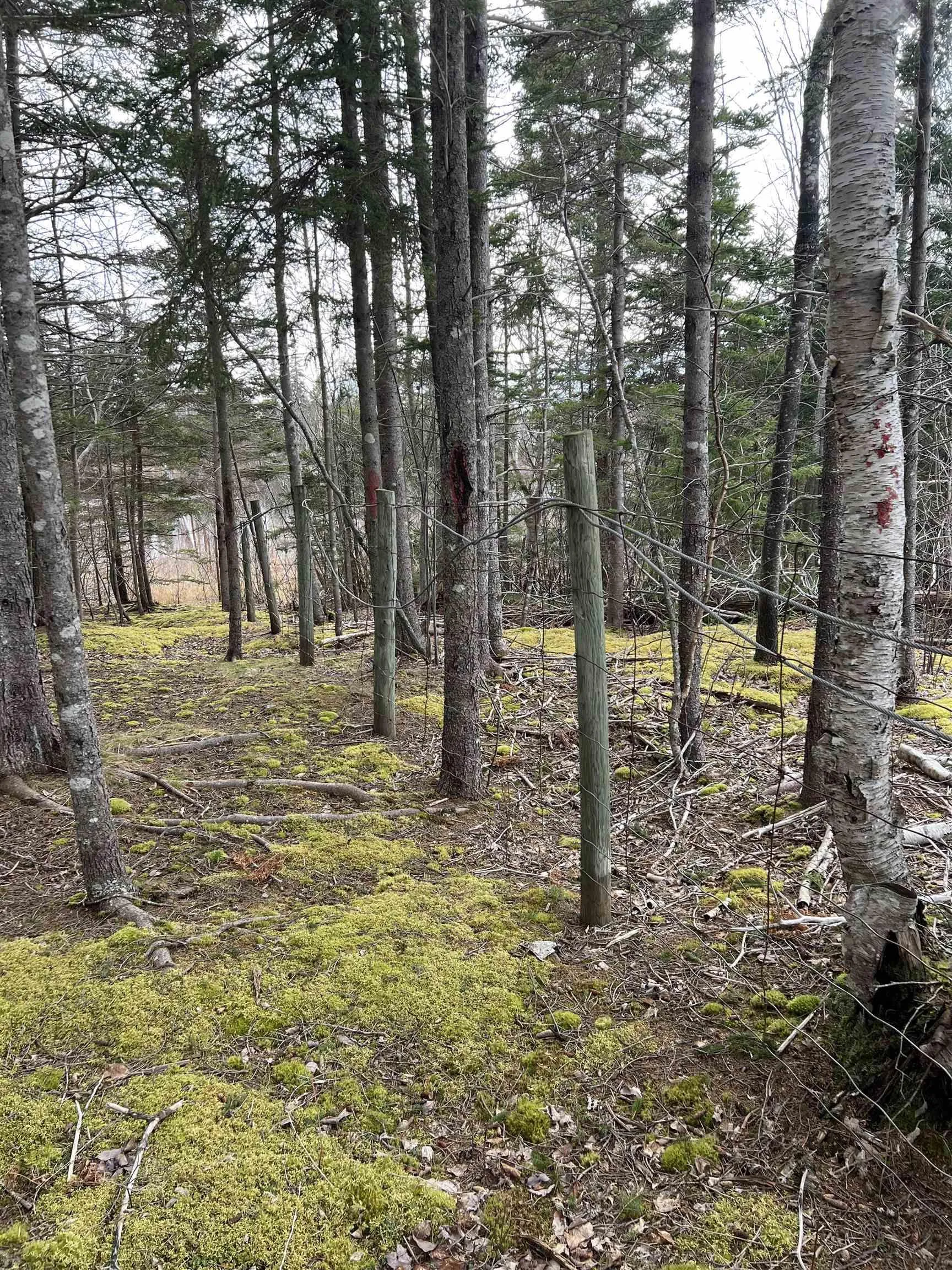 Old Mulgrave Road, Monastery Ns B0h 1w0, 3 Bedrooms Bedrooms, ,1 BathroomBathrooms,Residential,For Sale,Old Mulgrave,202510167