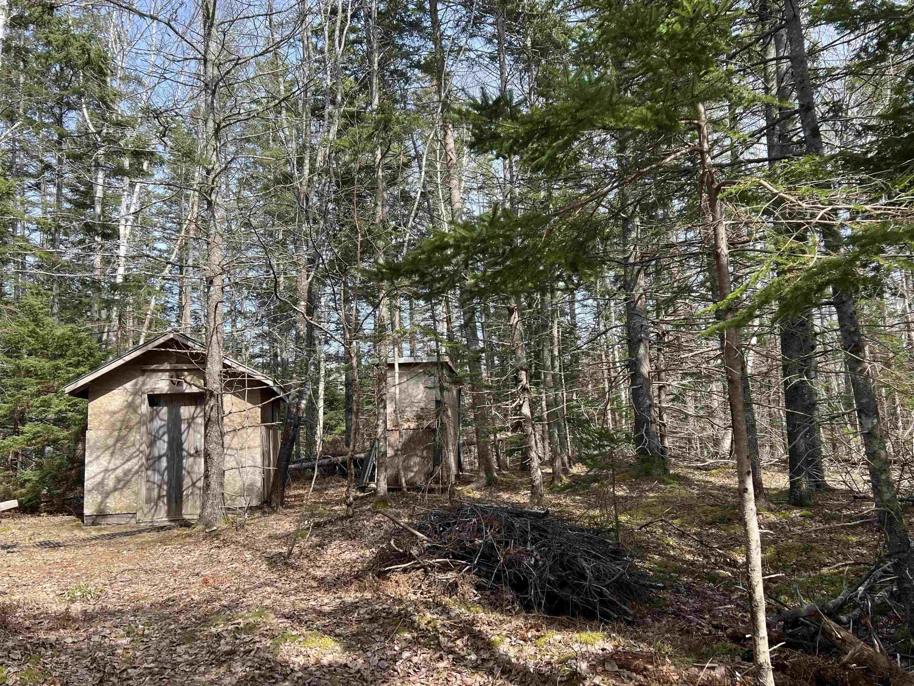 Old Mulgrave Road, Monastery Ns B0h 1w0, 3 Bedrooms Bedrooms, ,1 BathroomBathrooms,Residential,For Sale,Old Mulgrave,202510167