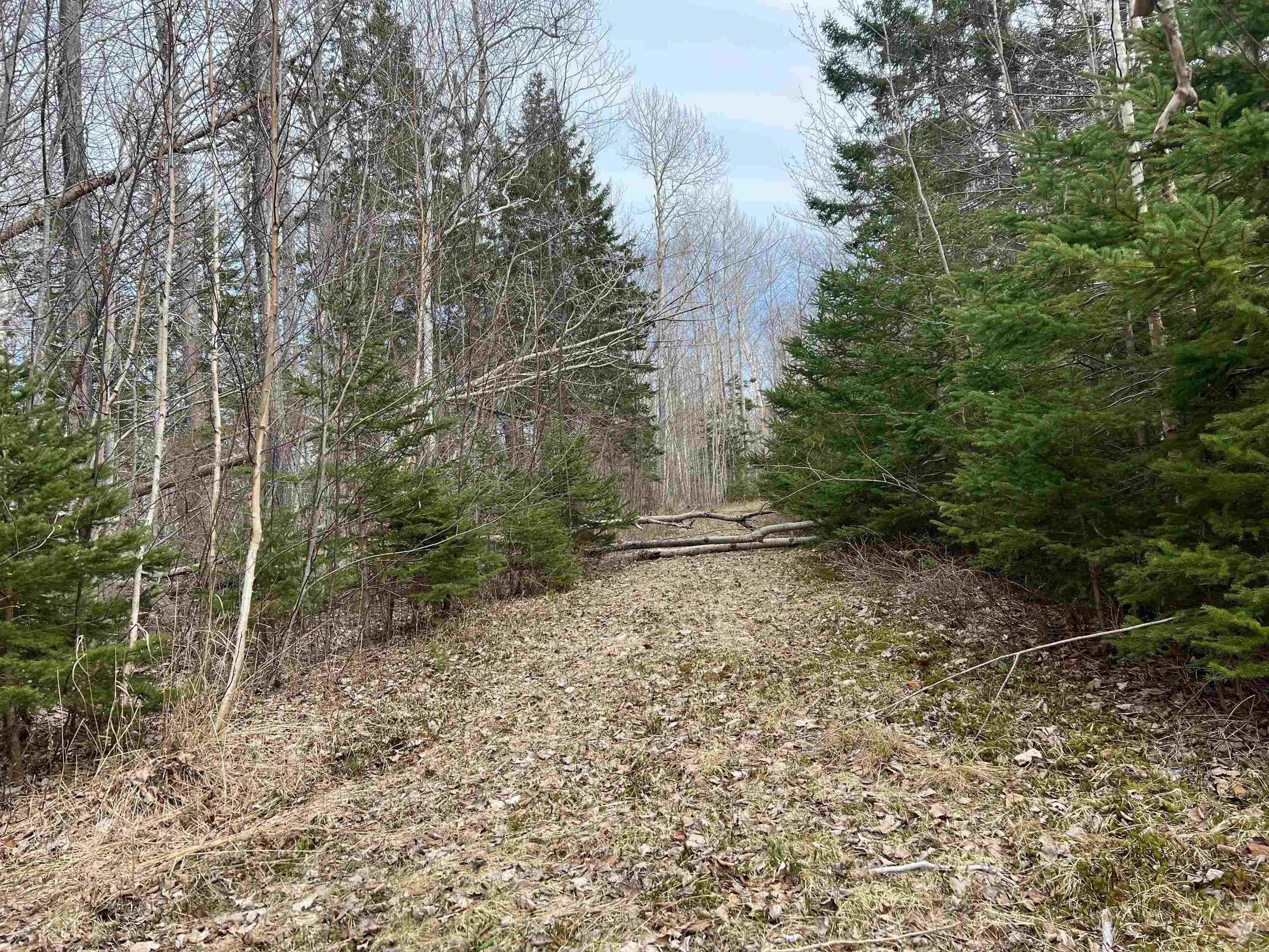 Old Mulgrave Road, Monastery Ns B0h 1w0, 3 Bedrooms Bedrooms, ,1 BathroomBathrooms,Residential,For Sale,Old Mulgrave,202510167