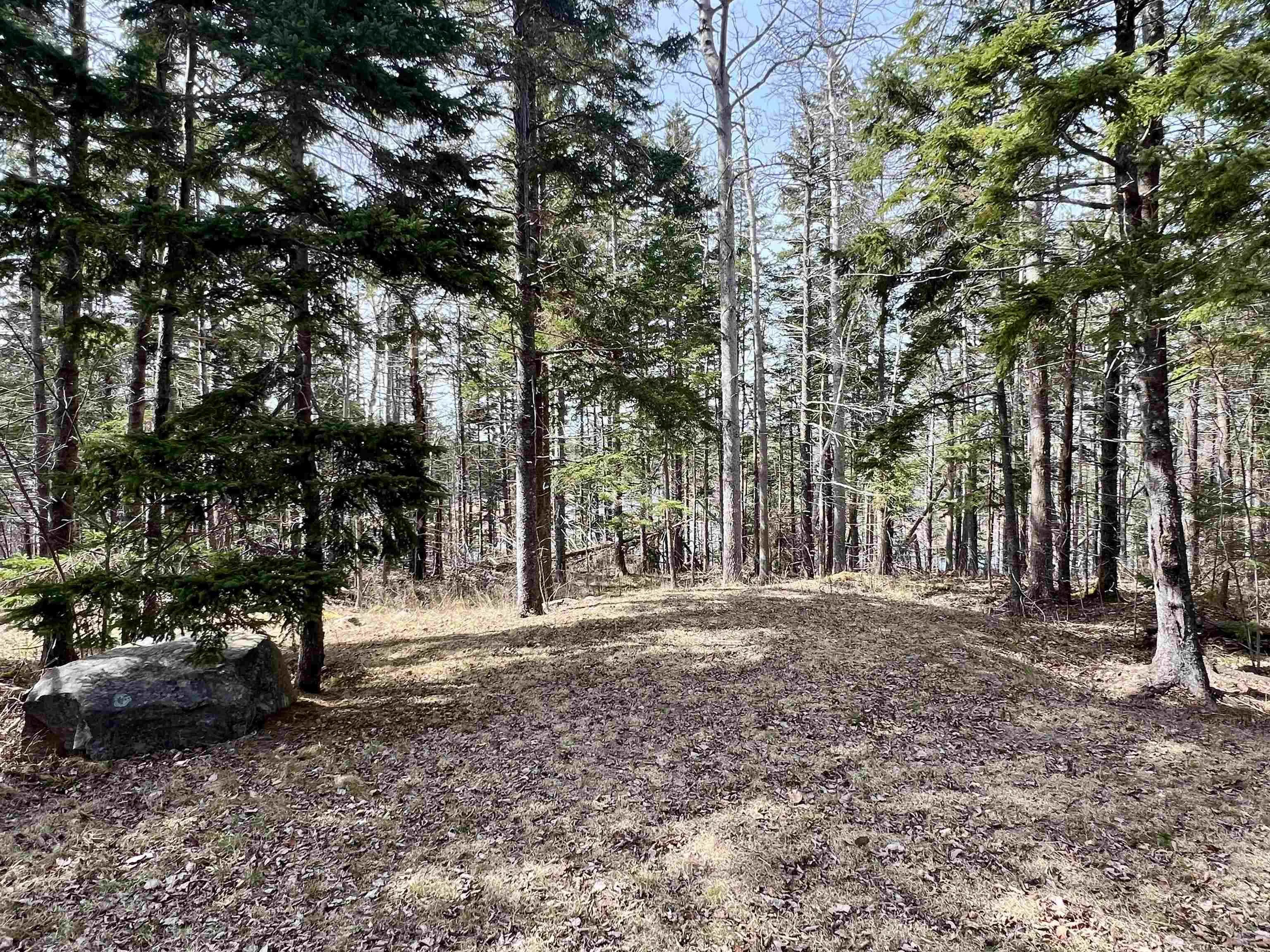 Old Mulgrave Road, Monastery Ns B0h 1w0, 3 Bedrooms Bedrooms, ,1 BathroomBathrooms,Residential,For Sale,Old Mulgrave,202510167