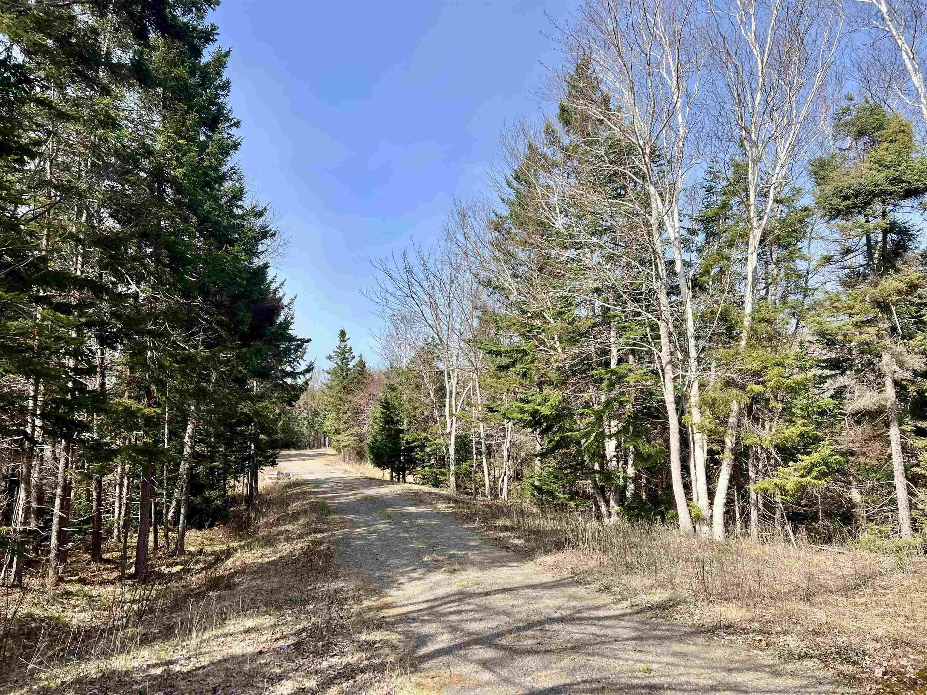 Old Mulgrave Road, Monastery Ns B0h 1w0, 3 Bedrooms Bedrooms, ,1 BathroomBathrooms,Residential,For Sale,Old Mulgrave,202510167