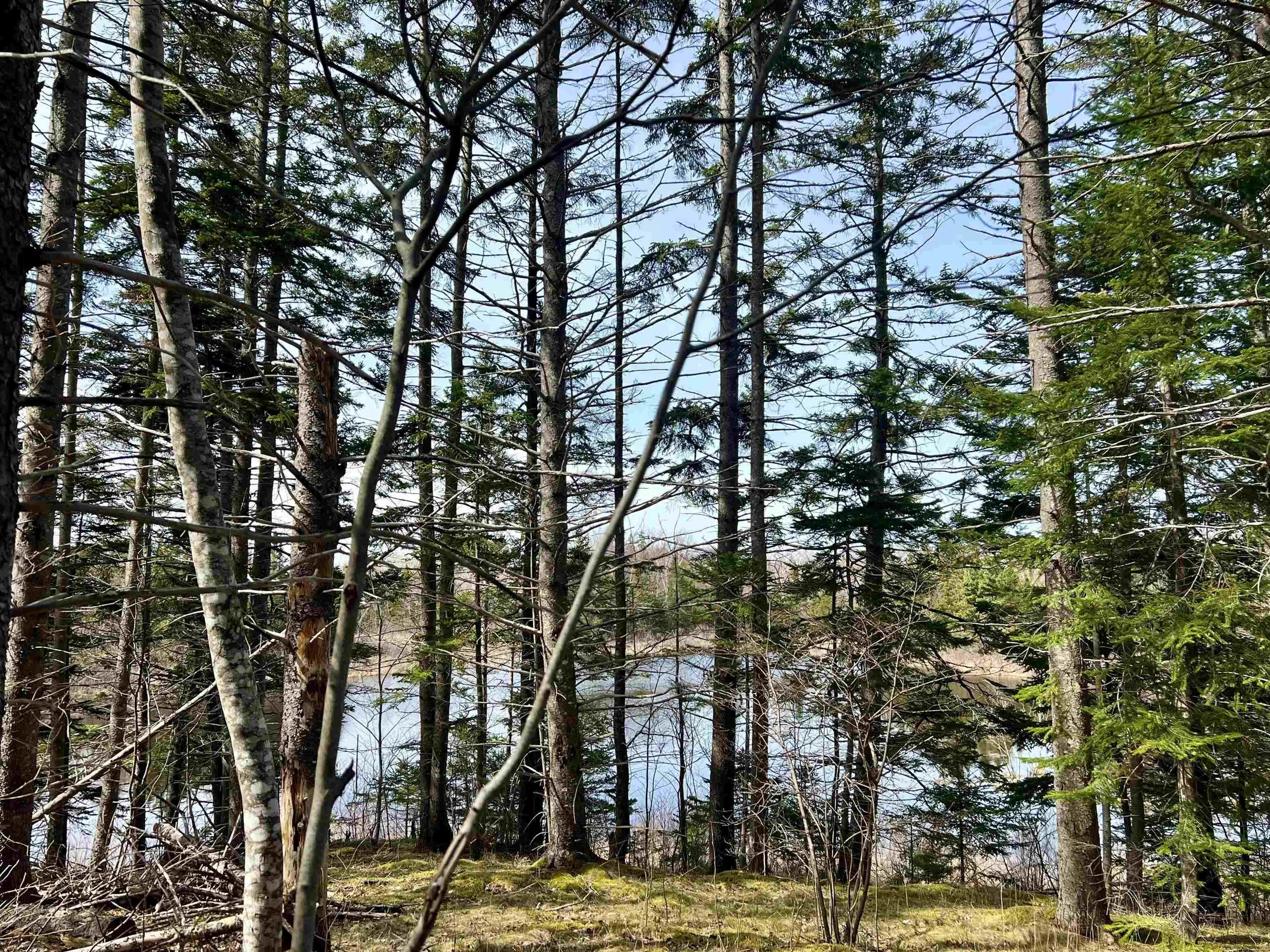 Old Mulgrave Road, Monastery Ns B0h 1w0, 3 Bedrooms Bedrooms, ,1 BathroomBathrooms,Residential,For Sale,Old Mulgrave,202510167