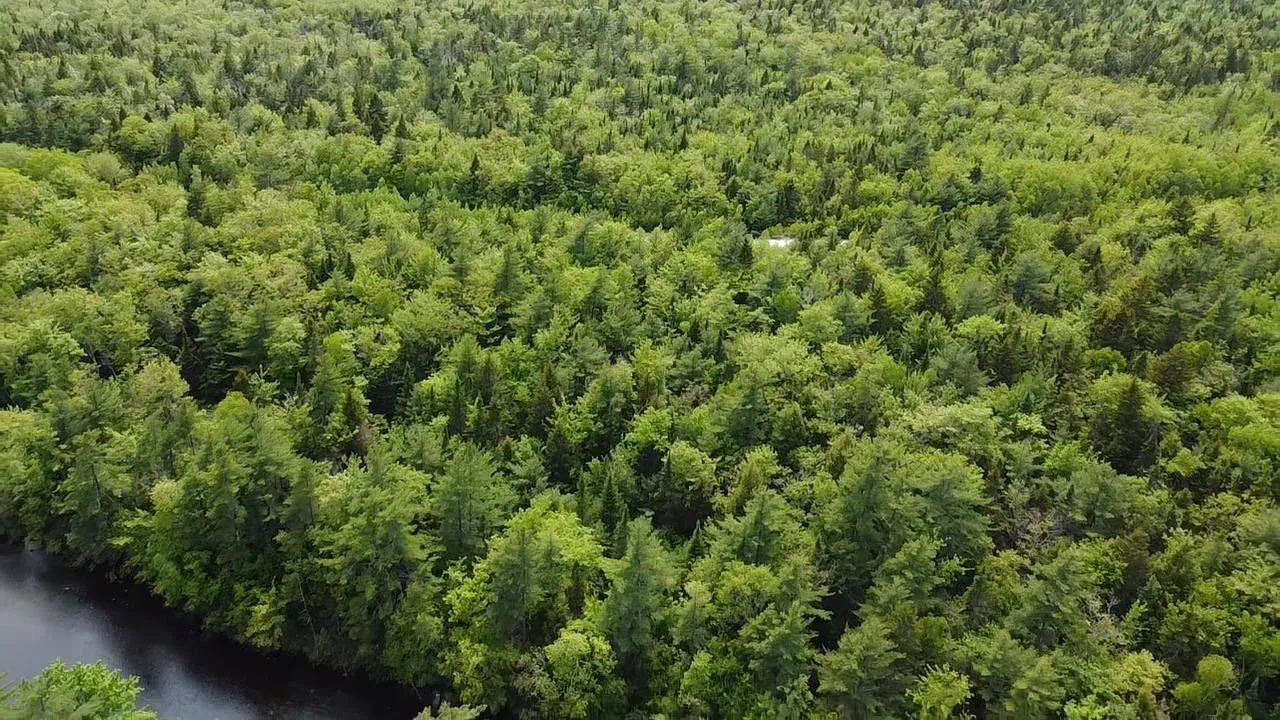 Lot Sunnylea Road, Wellington, NS B2T 1A2, ,Land,For Sale,Sunnylea Road,202518484