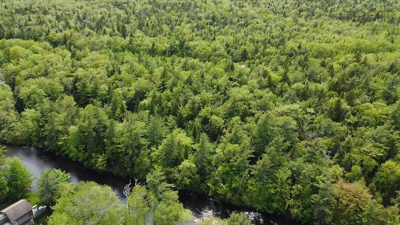 Lot Sunnylea Road, Wellington, NS B2T 1A2, ,Land,For Sale,Sunnylea Road,202518484