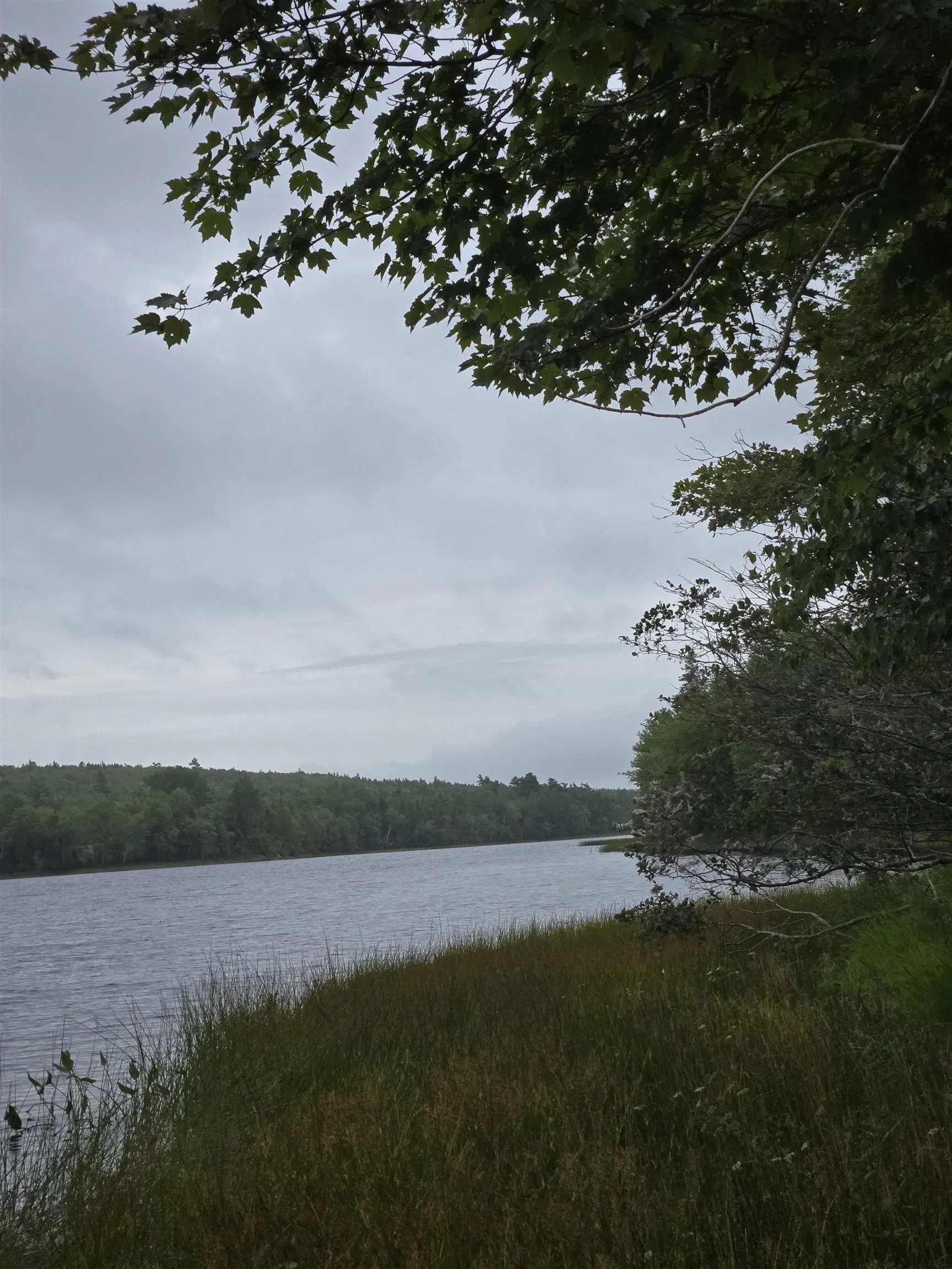 5-lot 5 Lochiel Lake (west Side), Lochiel Lake, NS B2G 2L3, ,Land,For Sale,Lochiel Lake (West Side),202521812