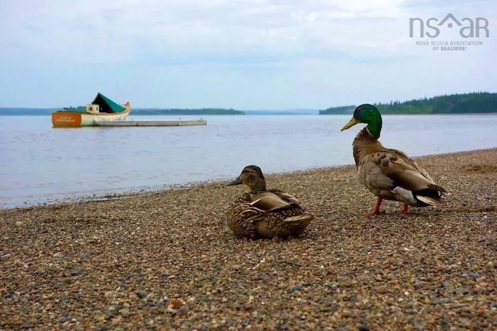 Spectacle Island, Mahone Bay Ns B0j 2e0, 2 Bedrooms Bedrooms, ,1 BathroomBathrooms,Residential,For Sale,Spectacle Island,202414304