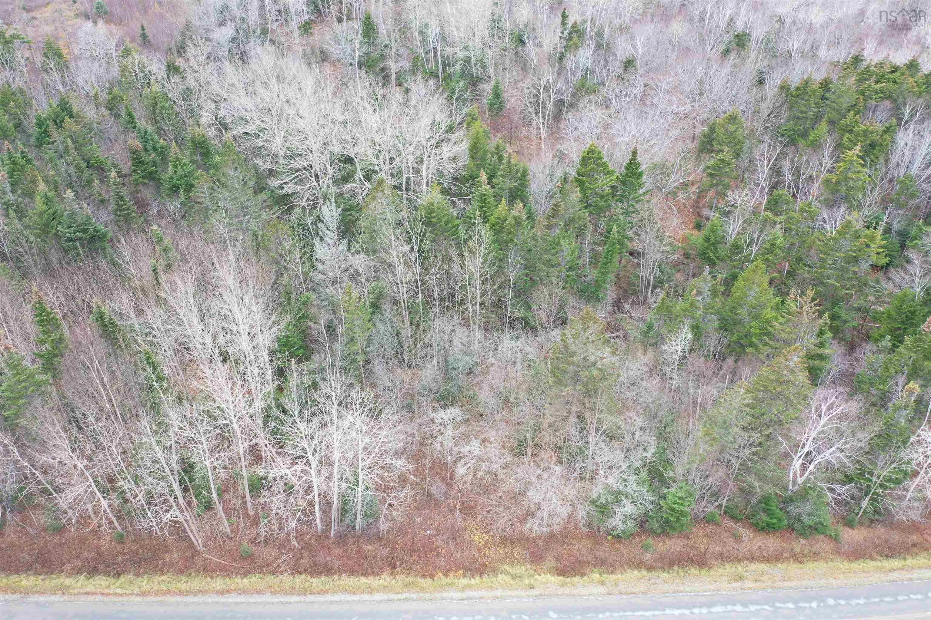 Weymouth Falls Road, Weymouth Falls, NS B0W 3T0, ,Land,For Sale,Weymouth Falls,202404872