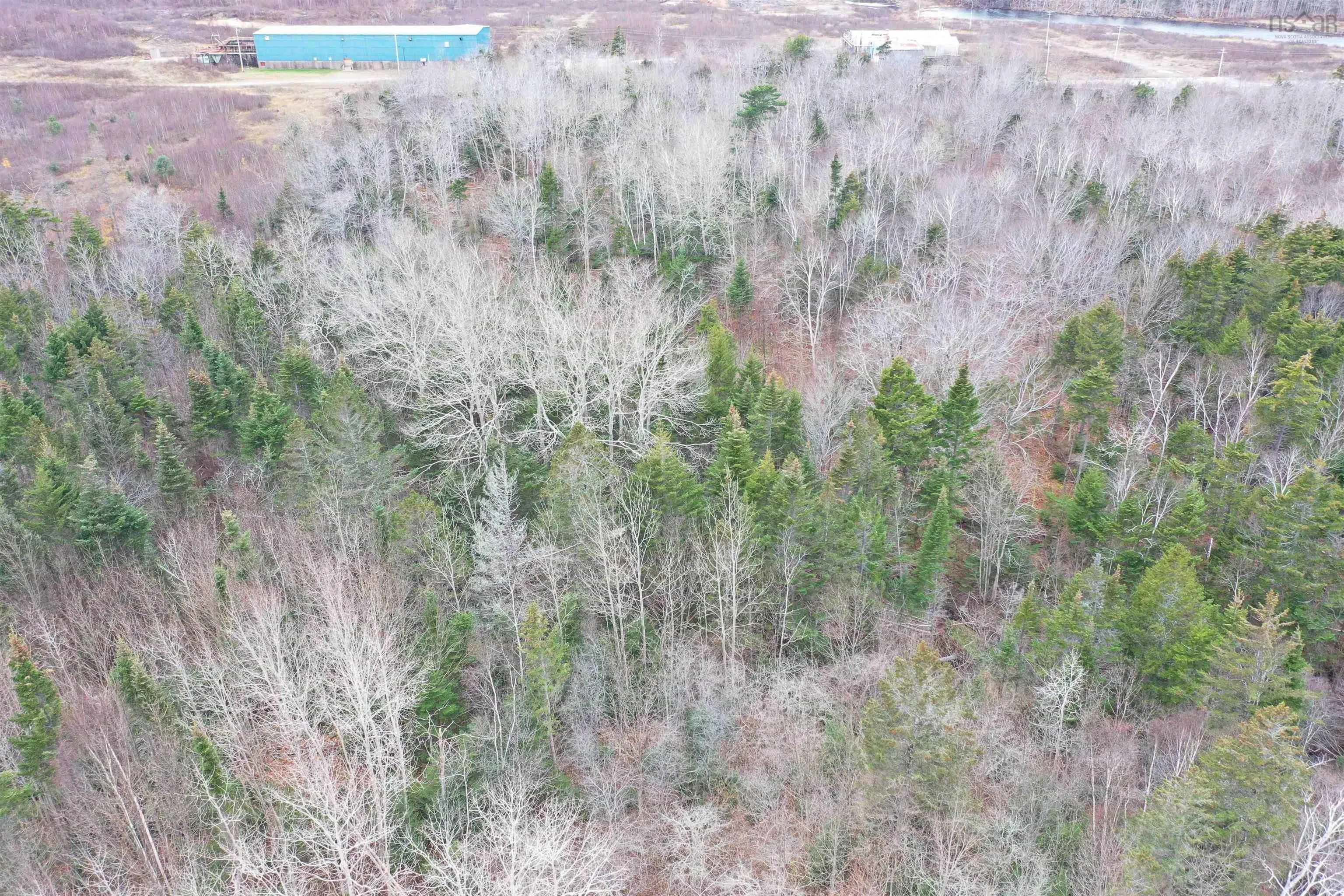 Weymouth Falls Road, Weymouth Falls, NS B0W 3T0, ,Land,For Sale,Weymouth Falls,202404872