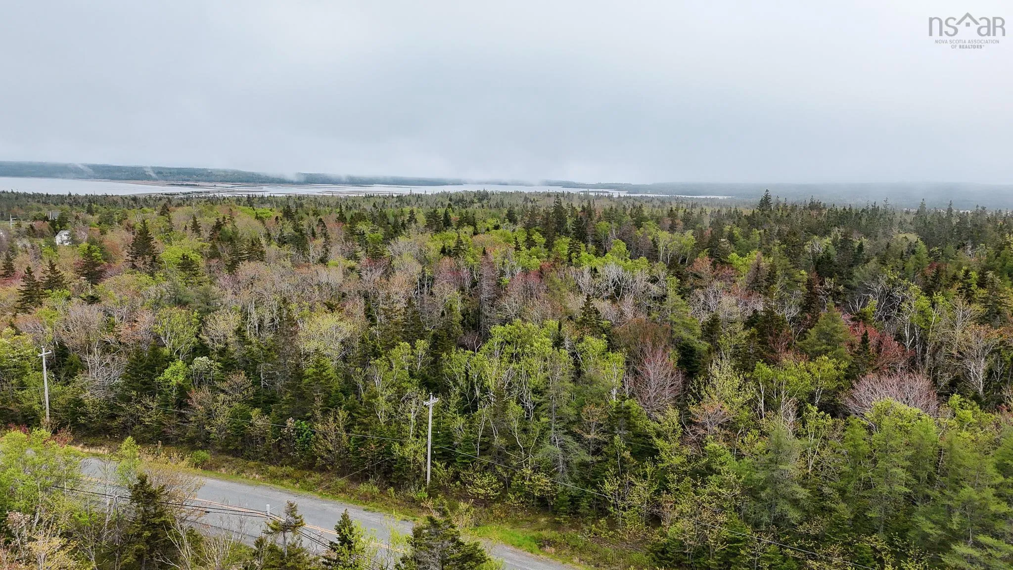 Birch Grove Road, Port Morien, NS B1B 1J3, ,Land,For Sale,Birch Grove Road,202513267