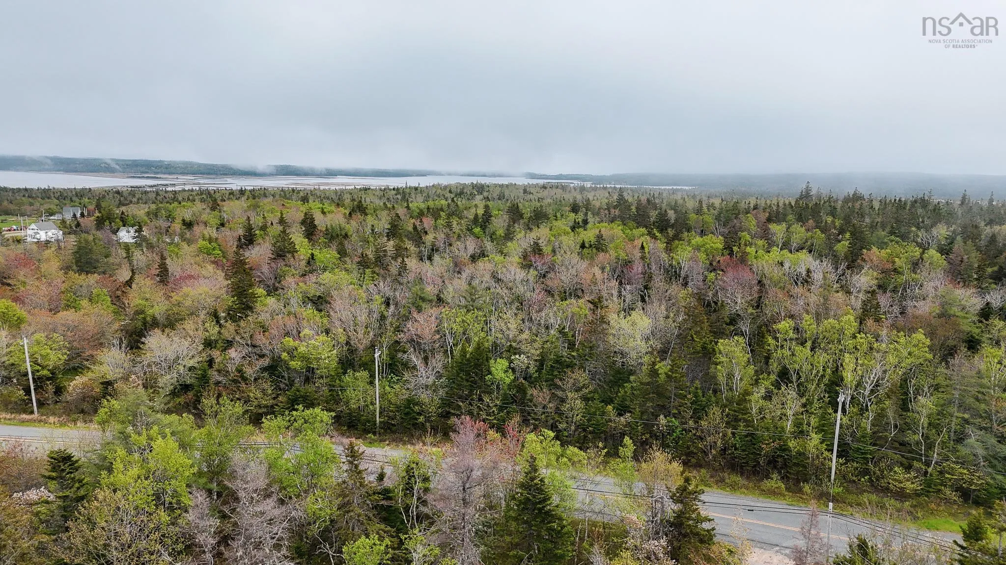 Birch Grove Road, Port Morien, NS B1B 1J3, ,Land,For Sale,Birch Grove Road,202513267