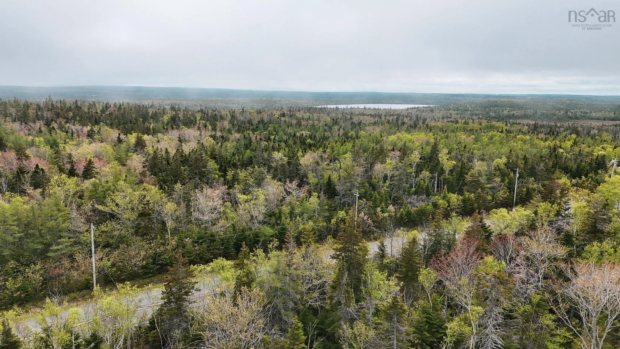 Birch Grove Road, Port Morien, NS B1B 1J3, ,Land,For Sale,Birch Grove Road,202513267