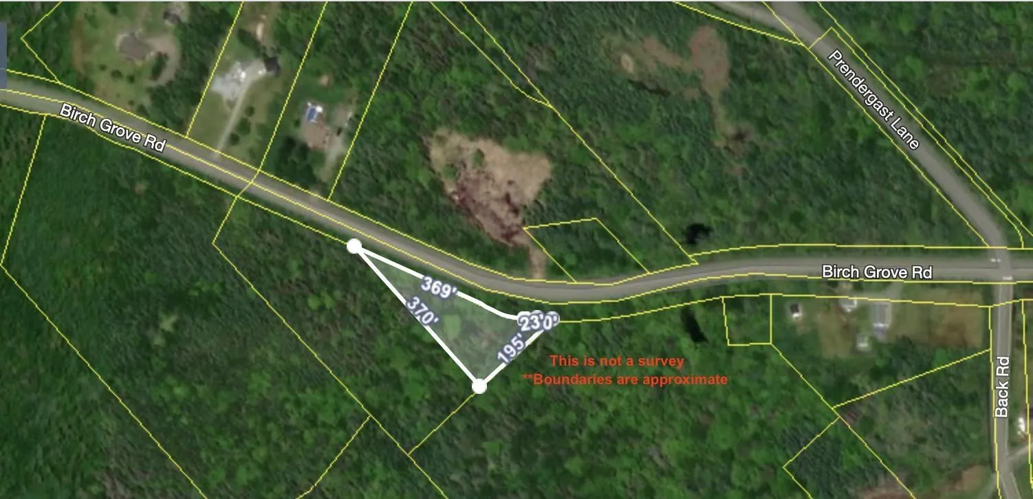 Birch Grove Road, Port Morien, NS B1B 1J3, ,Land,For Sale,Birch Grove Road,202513267