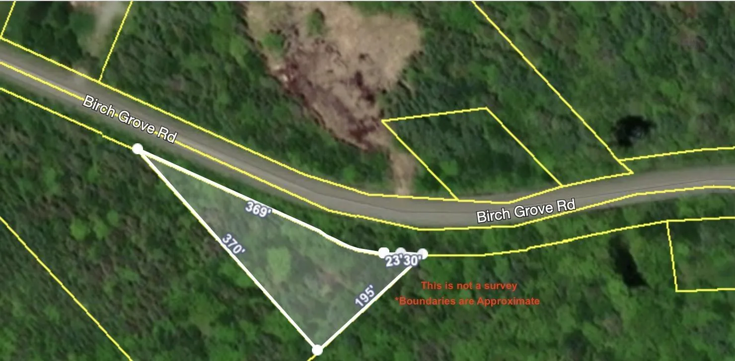 Birch Grove Road, Port Morien, NS B1B 1J3, ,Land,For Sale,Birch Grove Road,202513267