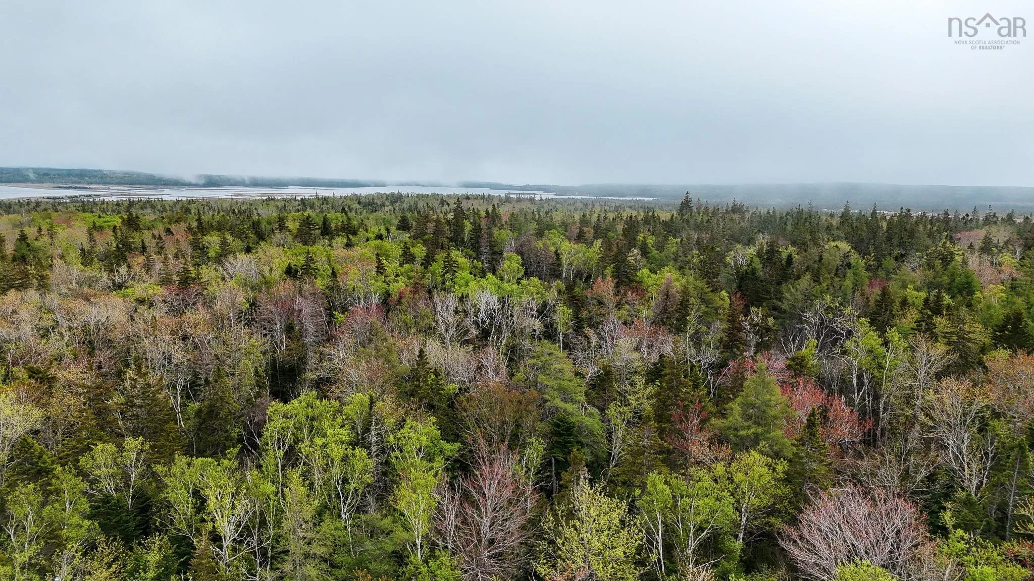 Birch Grove Road, Port Morien, NS B1B 1J3, ,Land,For Sale,Birch Grove Road,202513267