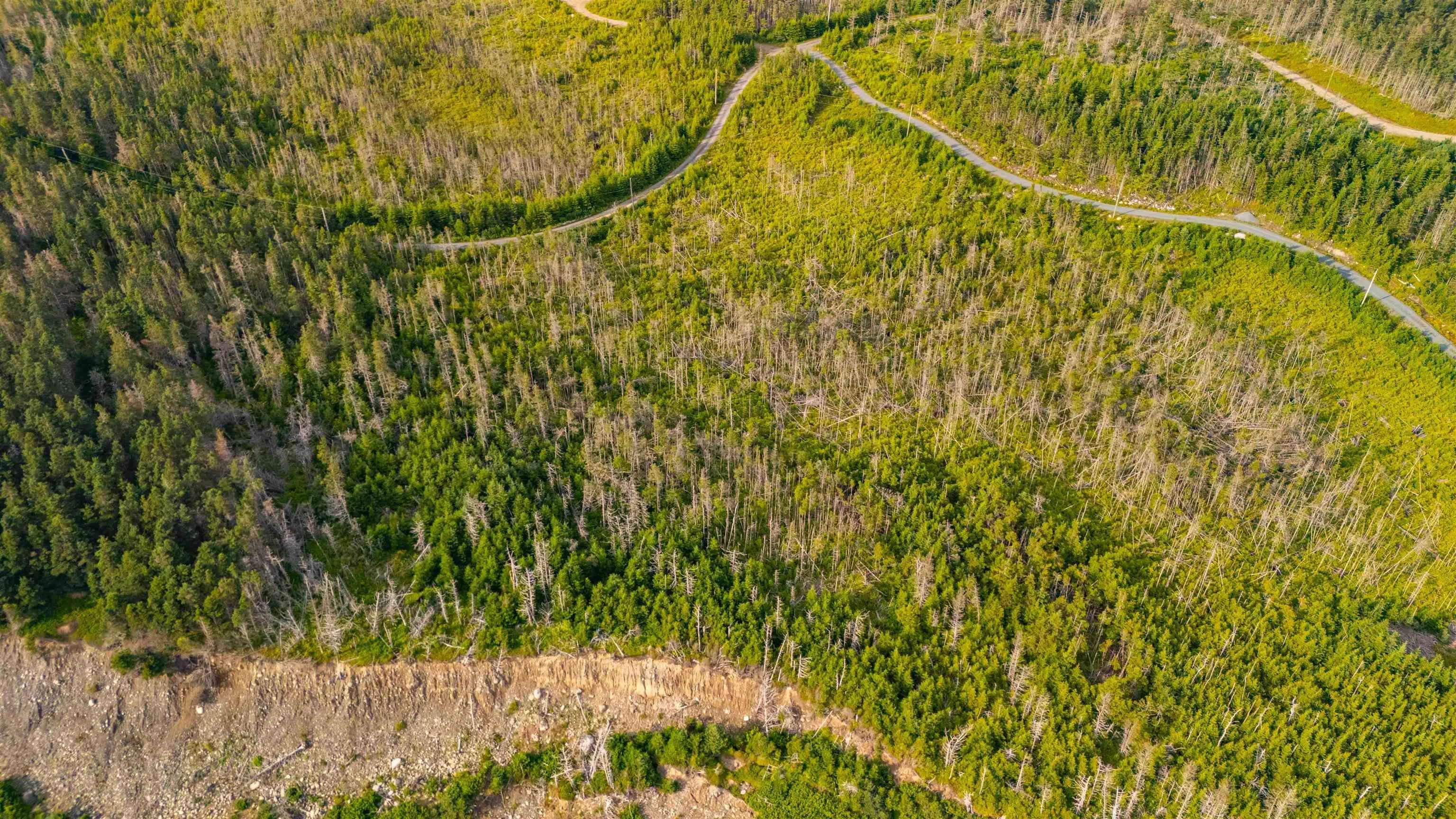 Lot 9 Holland Harbour, Holland Harbour Ns B0j 3c0, ,Land,For Sale,Holland Harbour,202418984