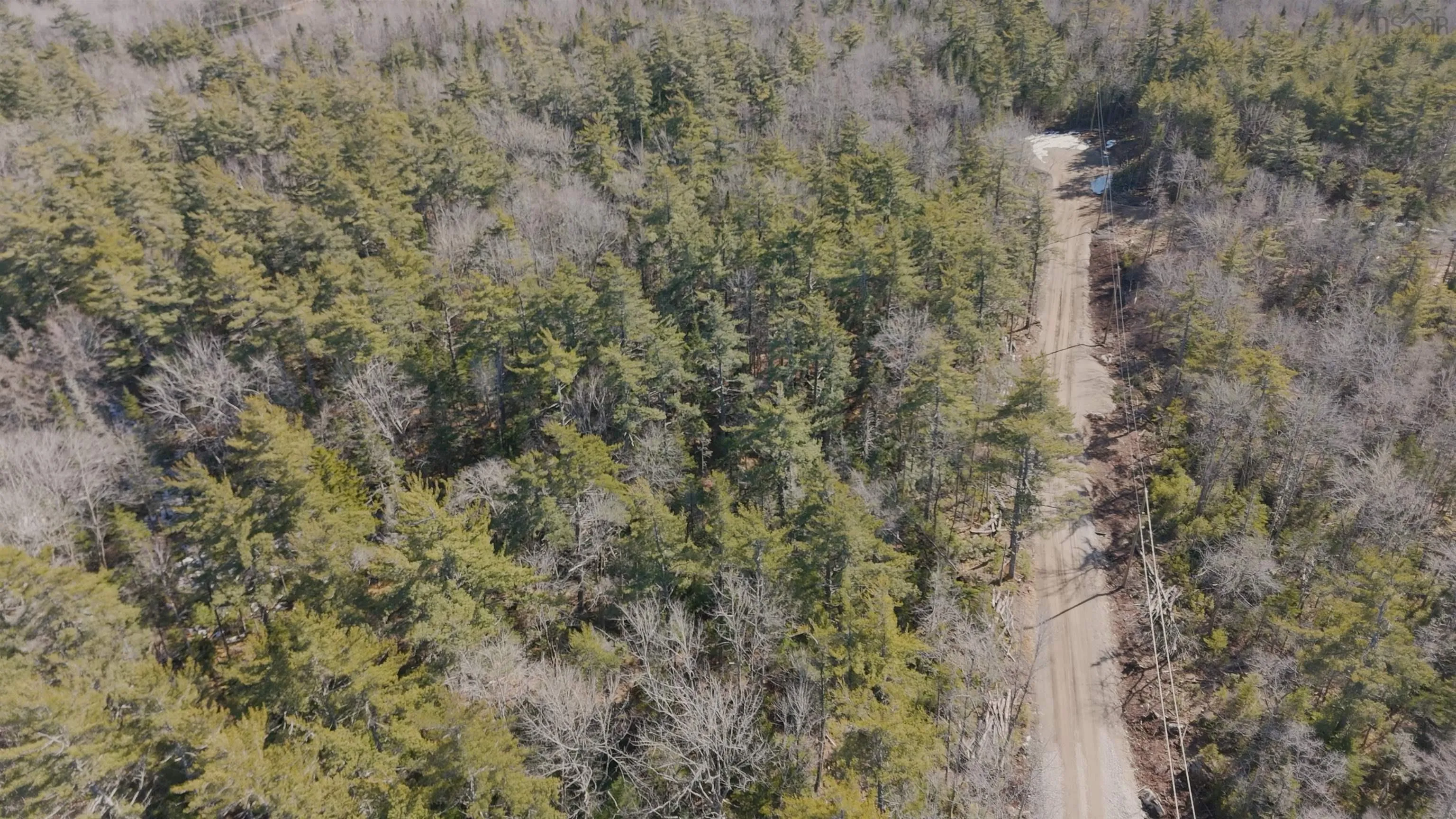 Maple Drive Lot 13, Lower Ohio Ns B0t 1w0, ,Land,For Sale,Maple,202508666