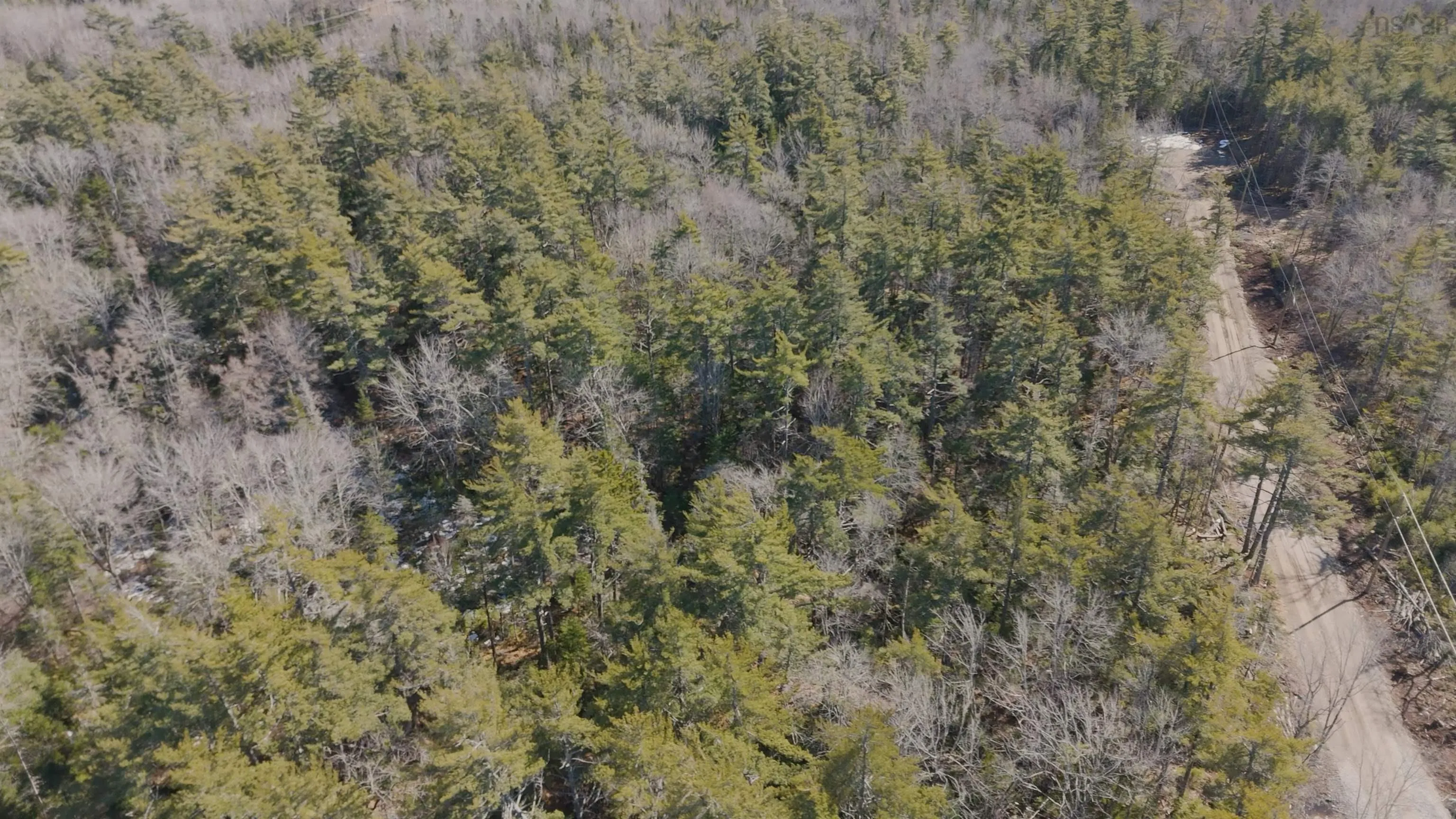 Maple Drive Lot 13, Lower Ohio Ns B0t 1w0, ,Land,For Sale,Maple,202508666