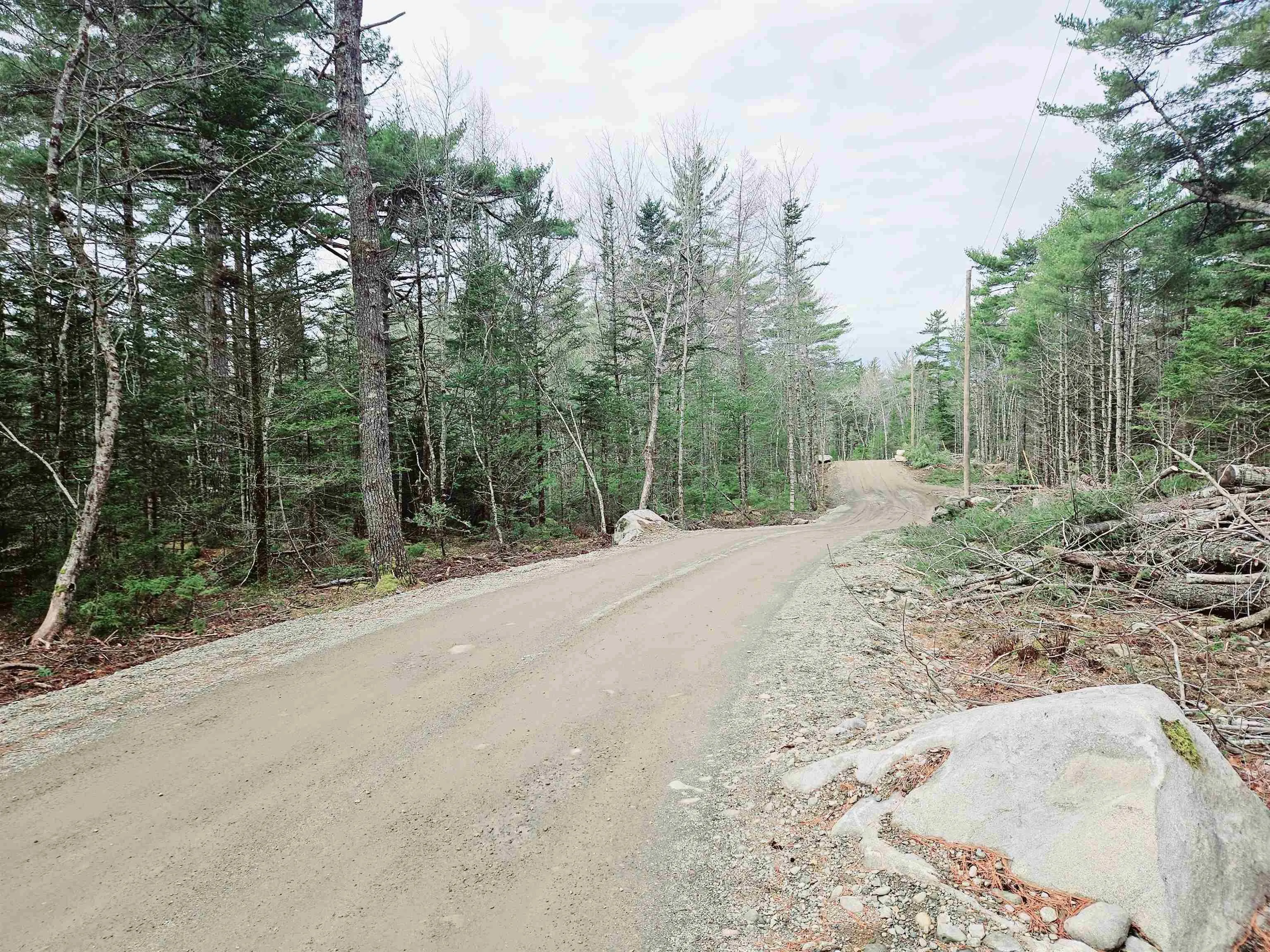 Maple Drive Lot 13, Lower Ohio Ns B0t 1w0, ,Land,For Sale,Maple,202508666
