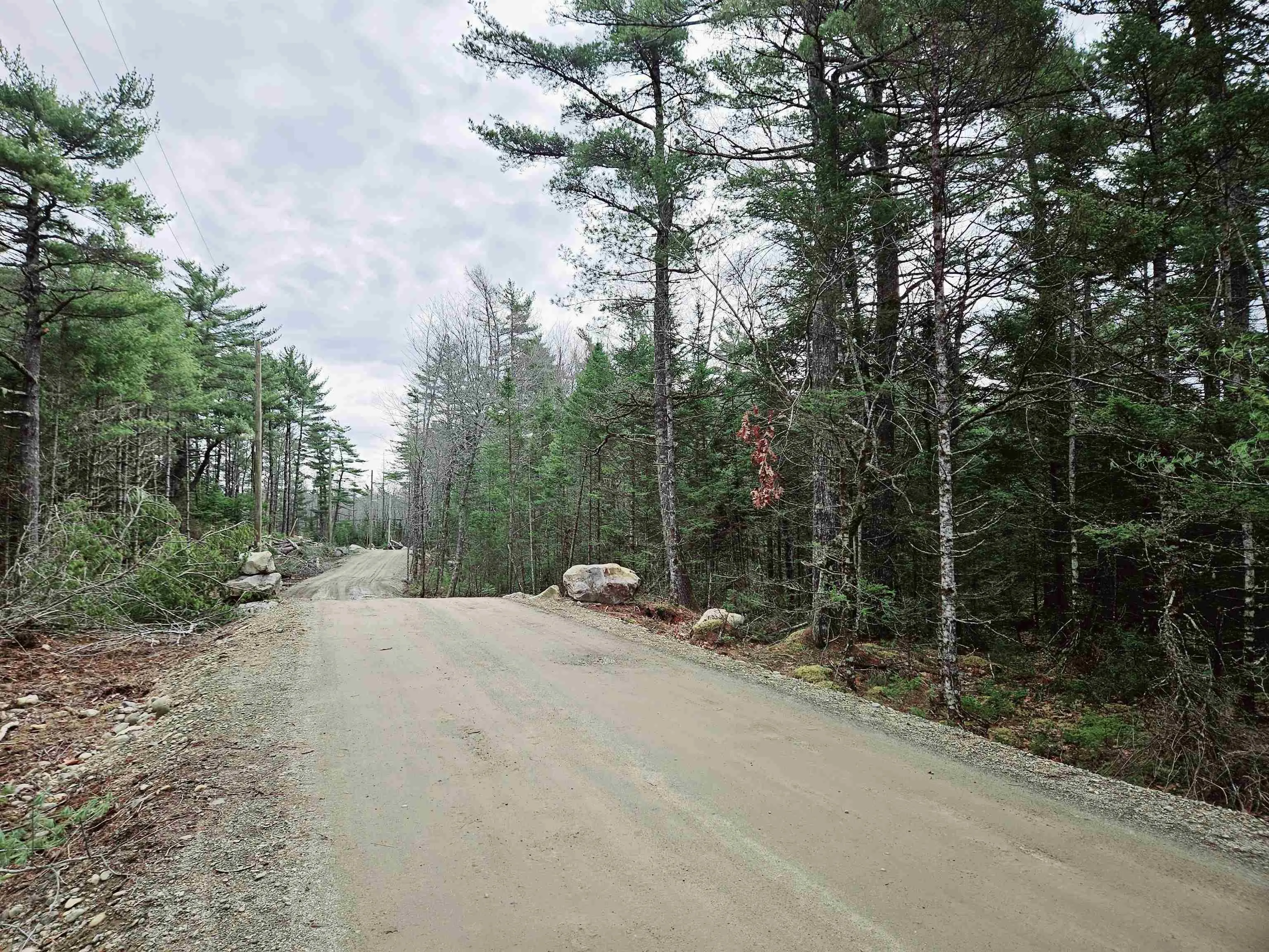 Maple Drive Lot 13, Lower Ohio Ns B0t 1w0, ,Land,For Sale,Maple,202508666