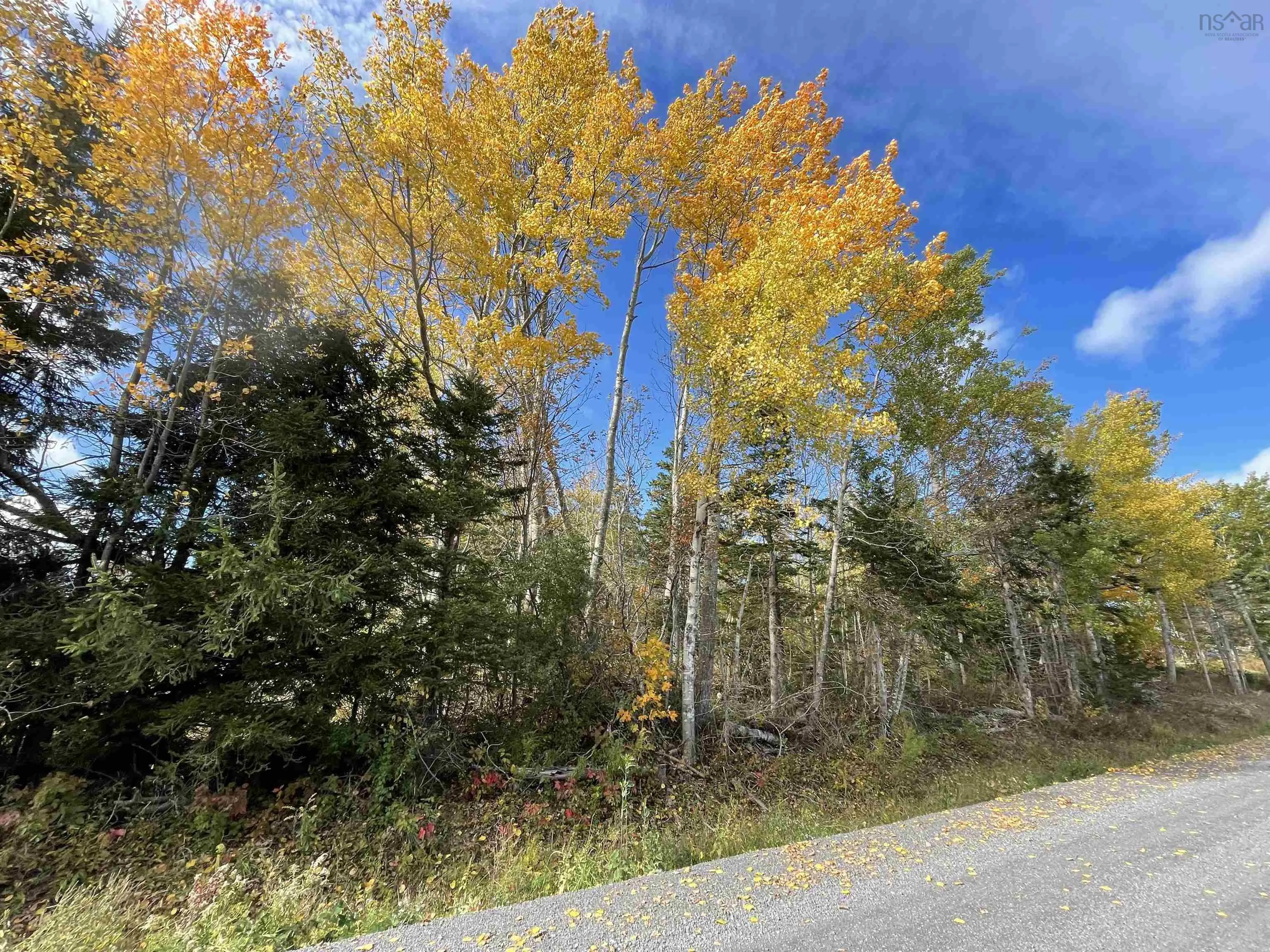 0.514 Acre Lot Owen Road, Hardwood Hill Ns B0k 1r0, ,Land,For Sale,Owen,202424749