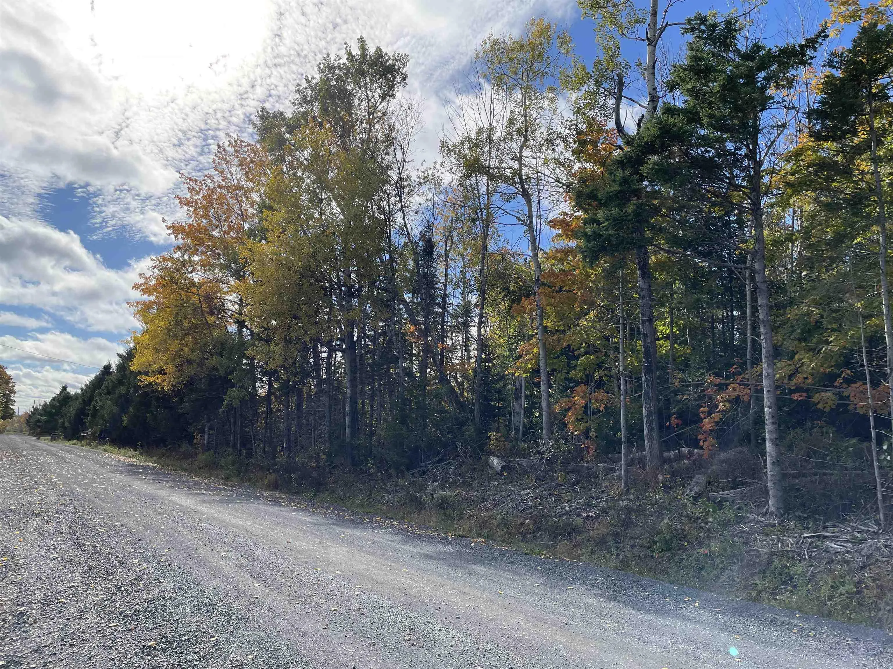 0.514 Acre Lot Owen Road, Hardwood Hill Ns B0k 1r0, ,Land,For Sale,Owen,202424749